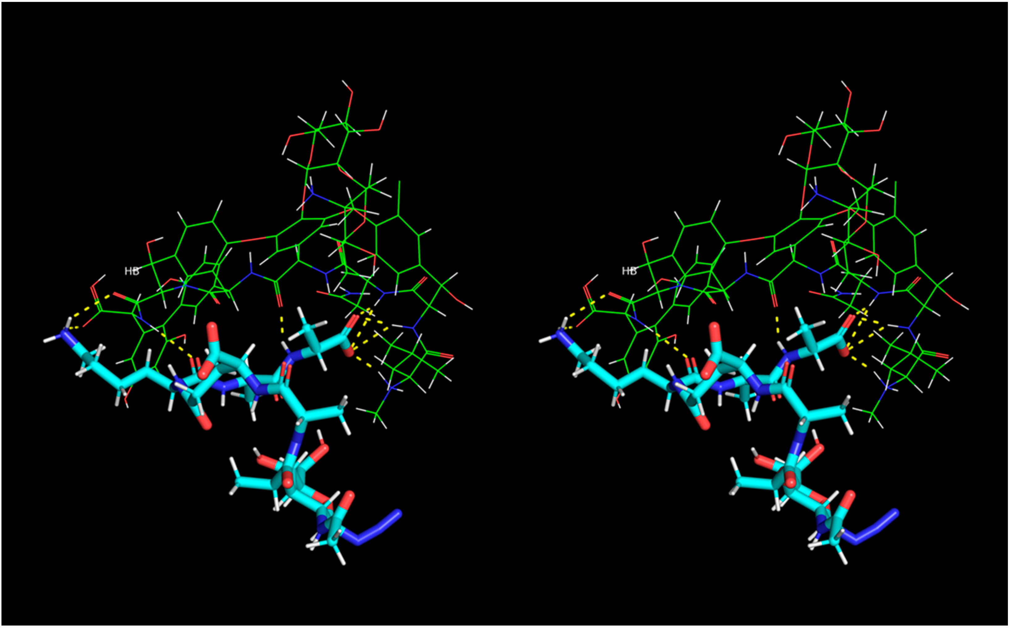 Ijms 23 01146 g013 Ijms 23 01146 g013