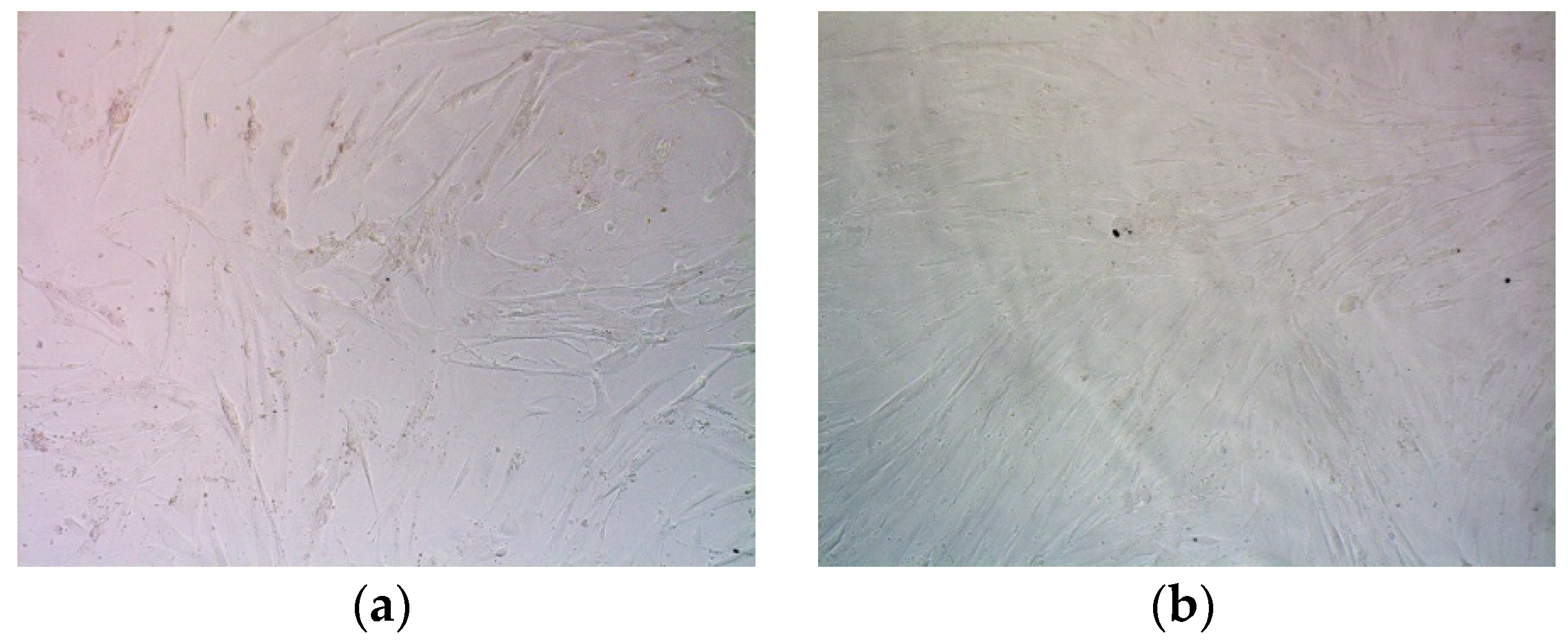 Ijms 23 01164 g009a Ijms 23 01164 g009a