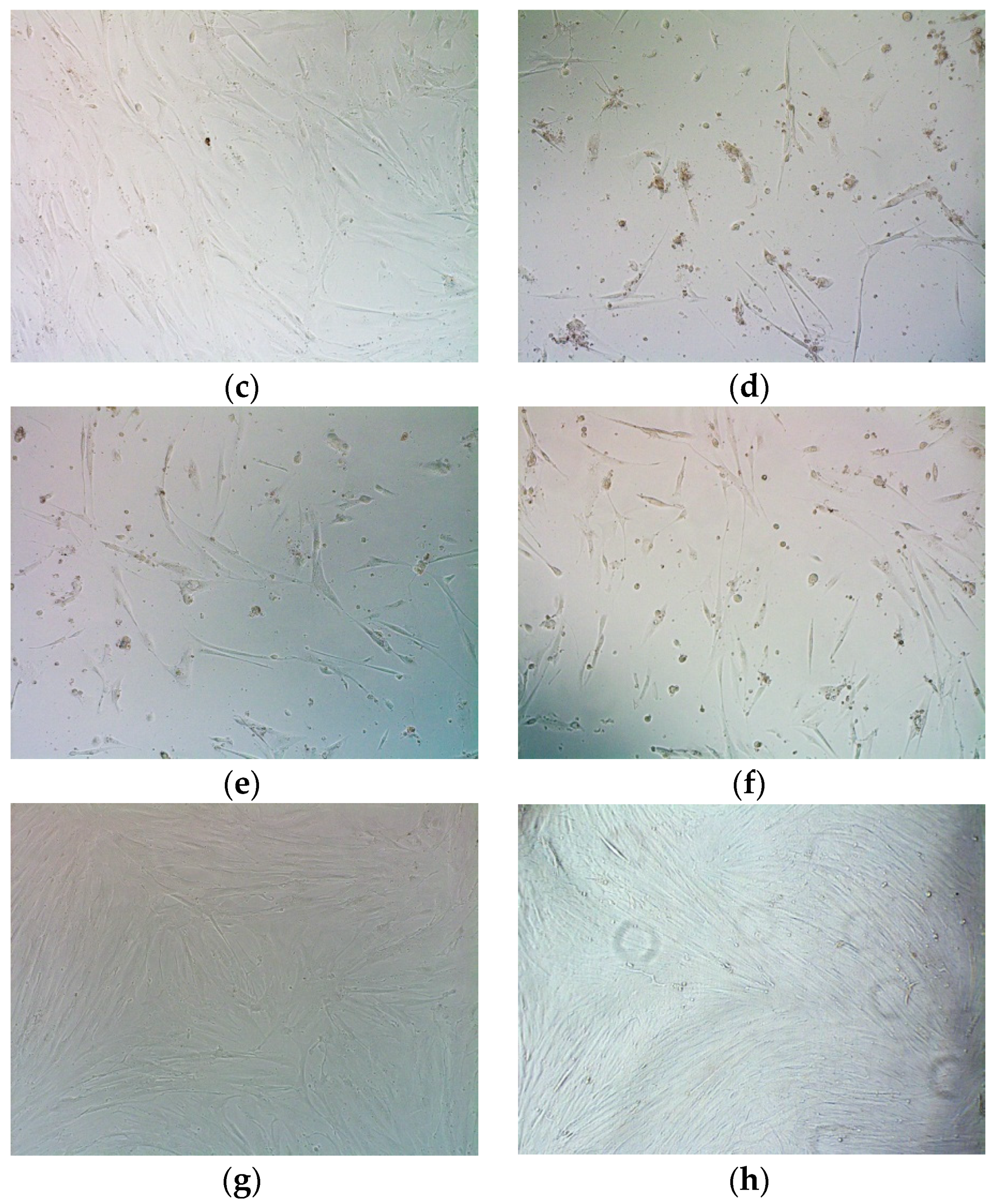 Ijms 23 01164 g009b Ijms 23 01164 g009b