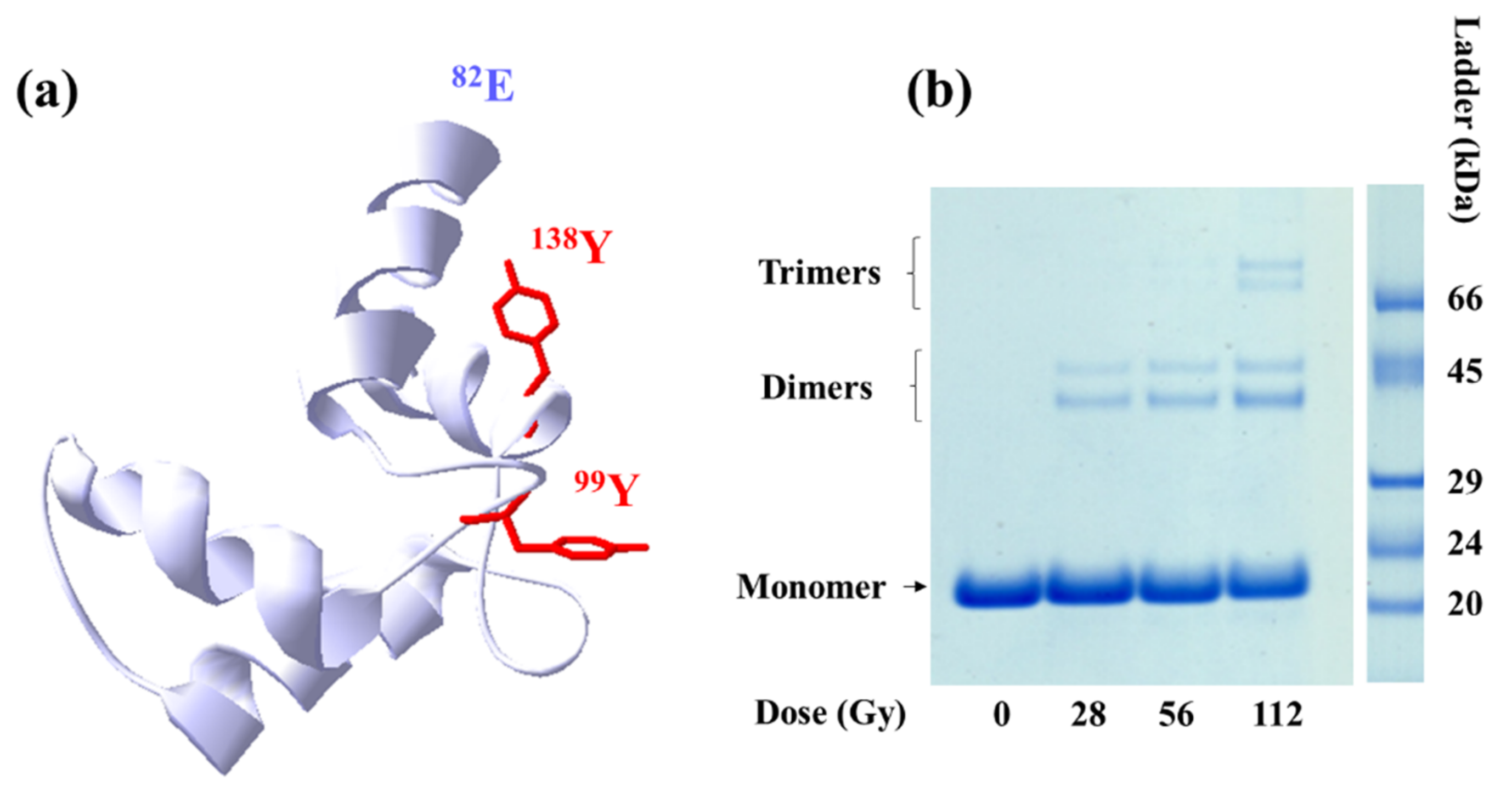 Ijms 23 01174 g006 Ijms 23 01174 g006