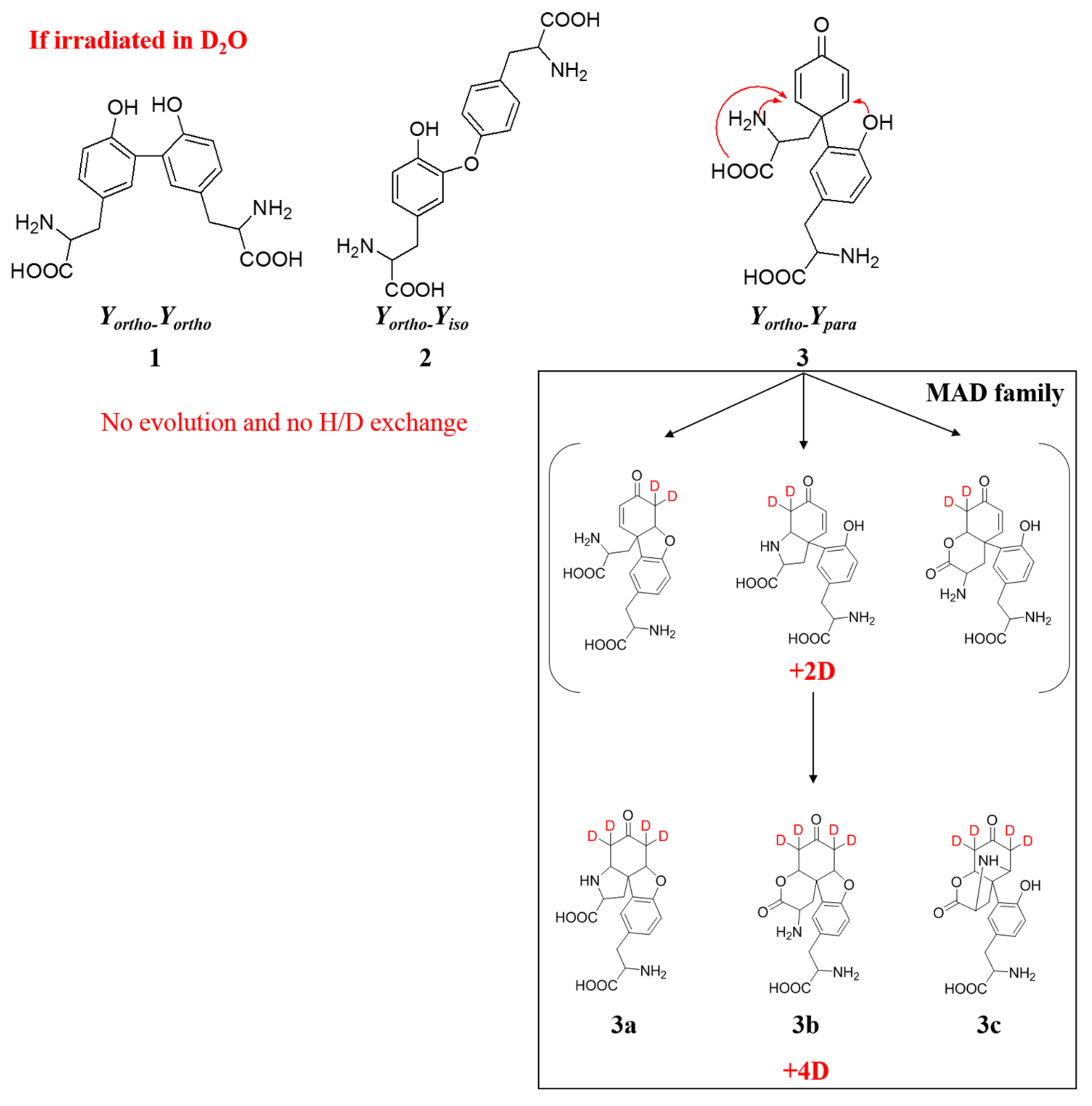 Ijms 23 01174 sch001 Ijms 23 01174 sch001