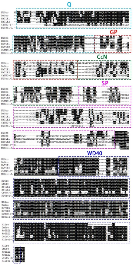 Ijms 23 01197 g001 Ijms 23 01197 g001