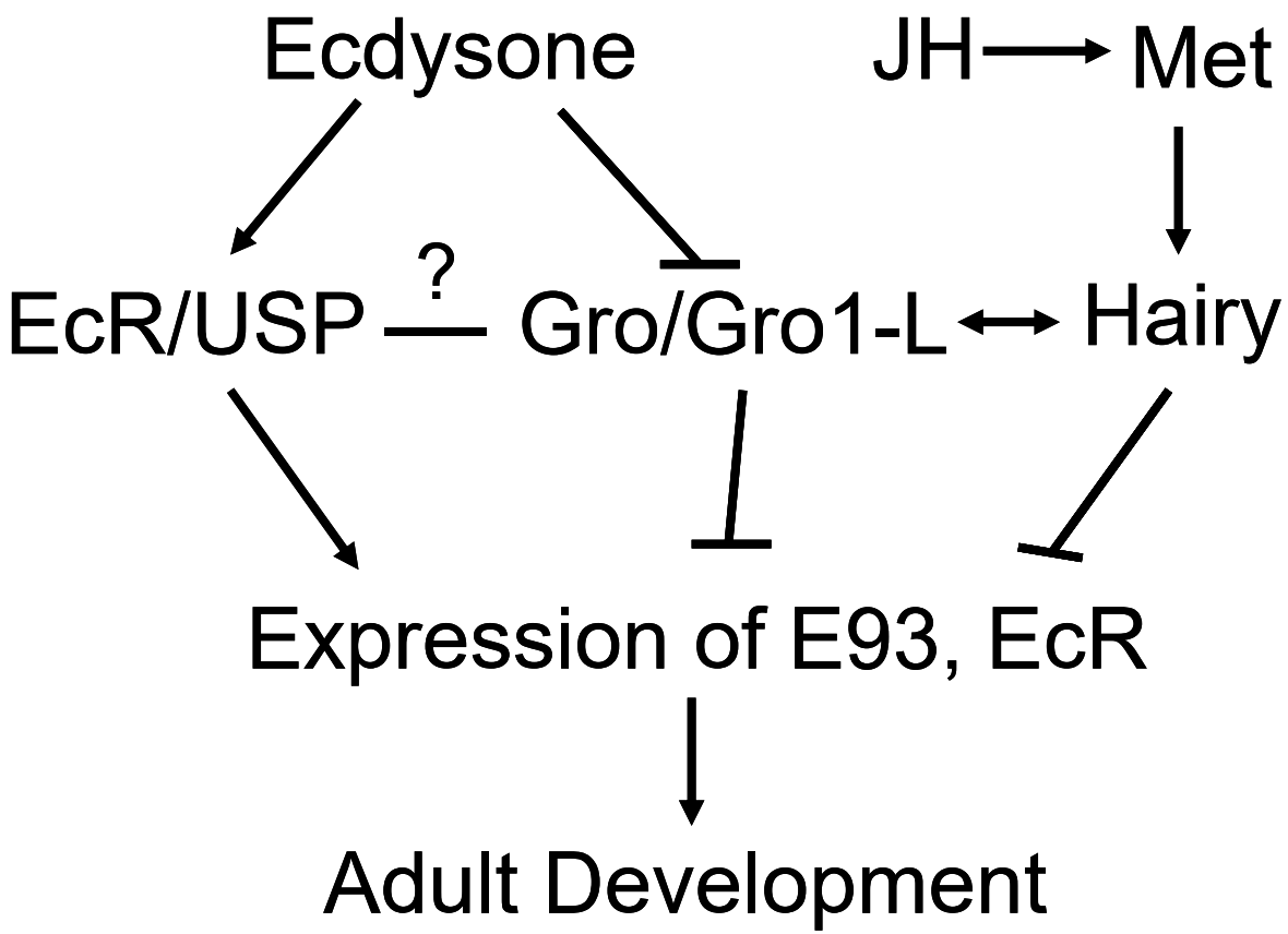 Ijms 23 01197 g007 Ijms 23 01197 g007