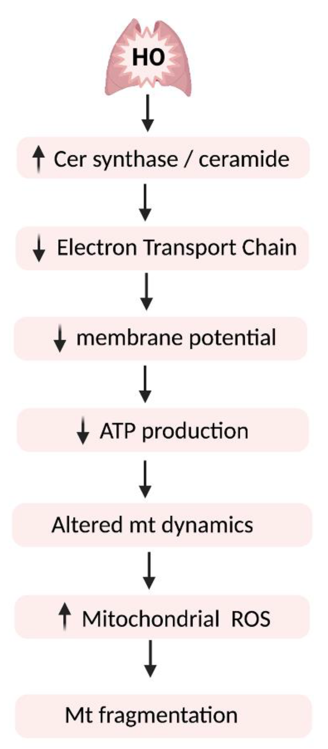 Ijms 23 01254 g003 Ijms 23 01254 g003