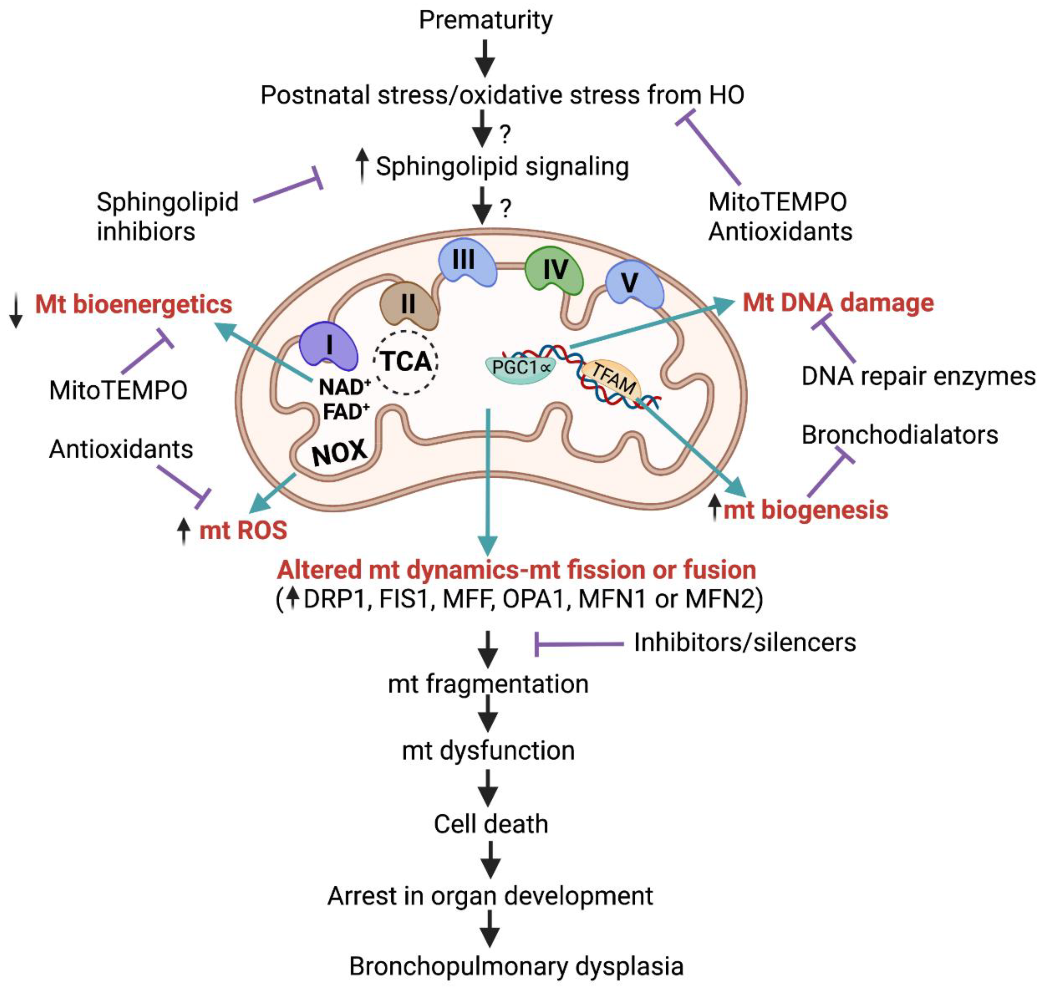 Ijms 23 01254 g004 Ijms 23 01254 g004