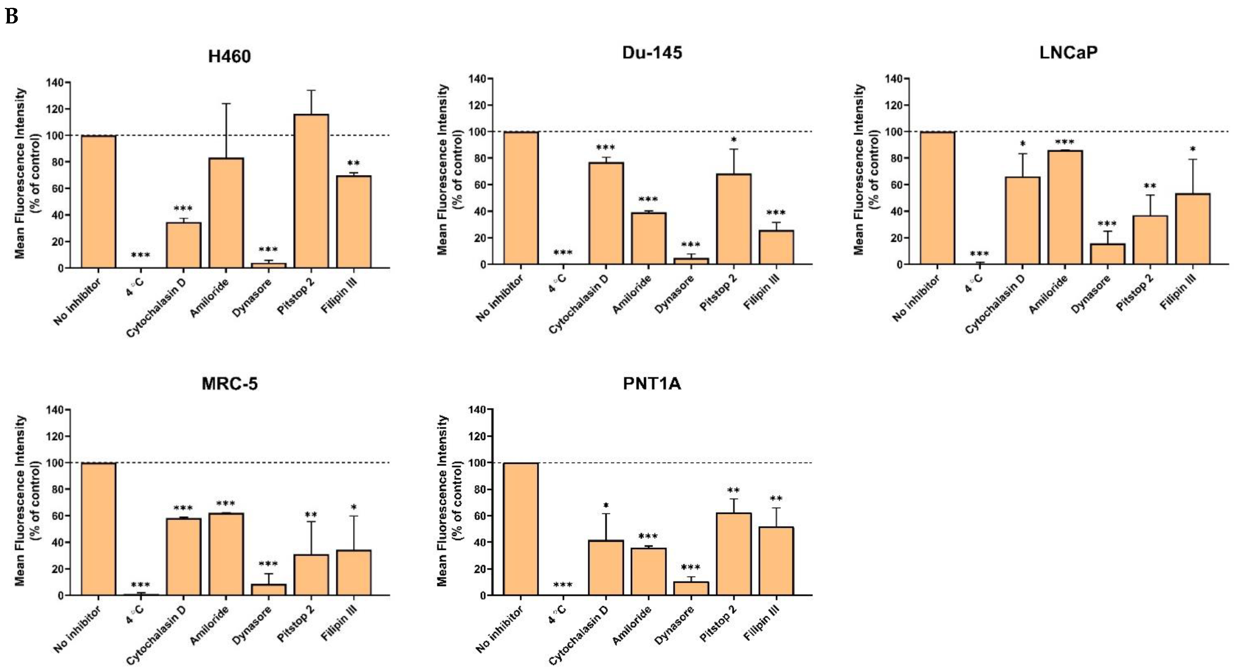 Ijms 23 01261 g006b Ijms 23 01261 g006b