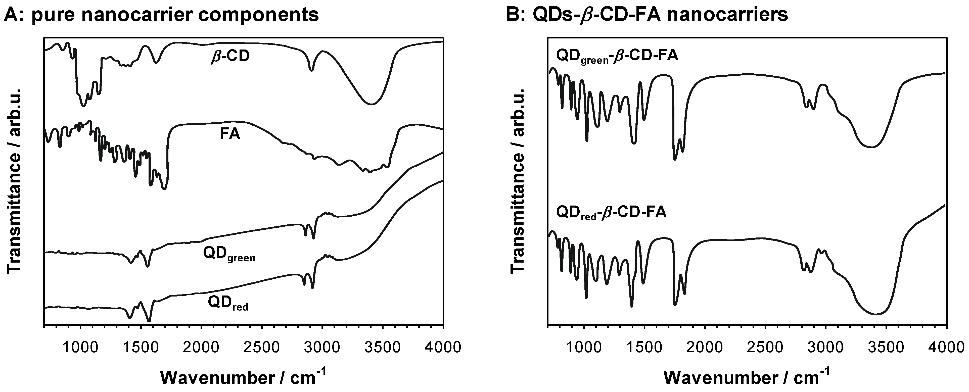 Ijms 23 01261 g008 Ijms 23 01261 g008