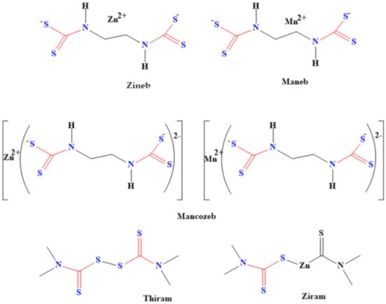 IJMS | Free Full-Text | The Versatility in the Applications of 