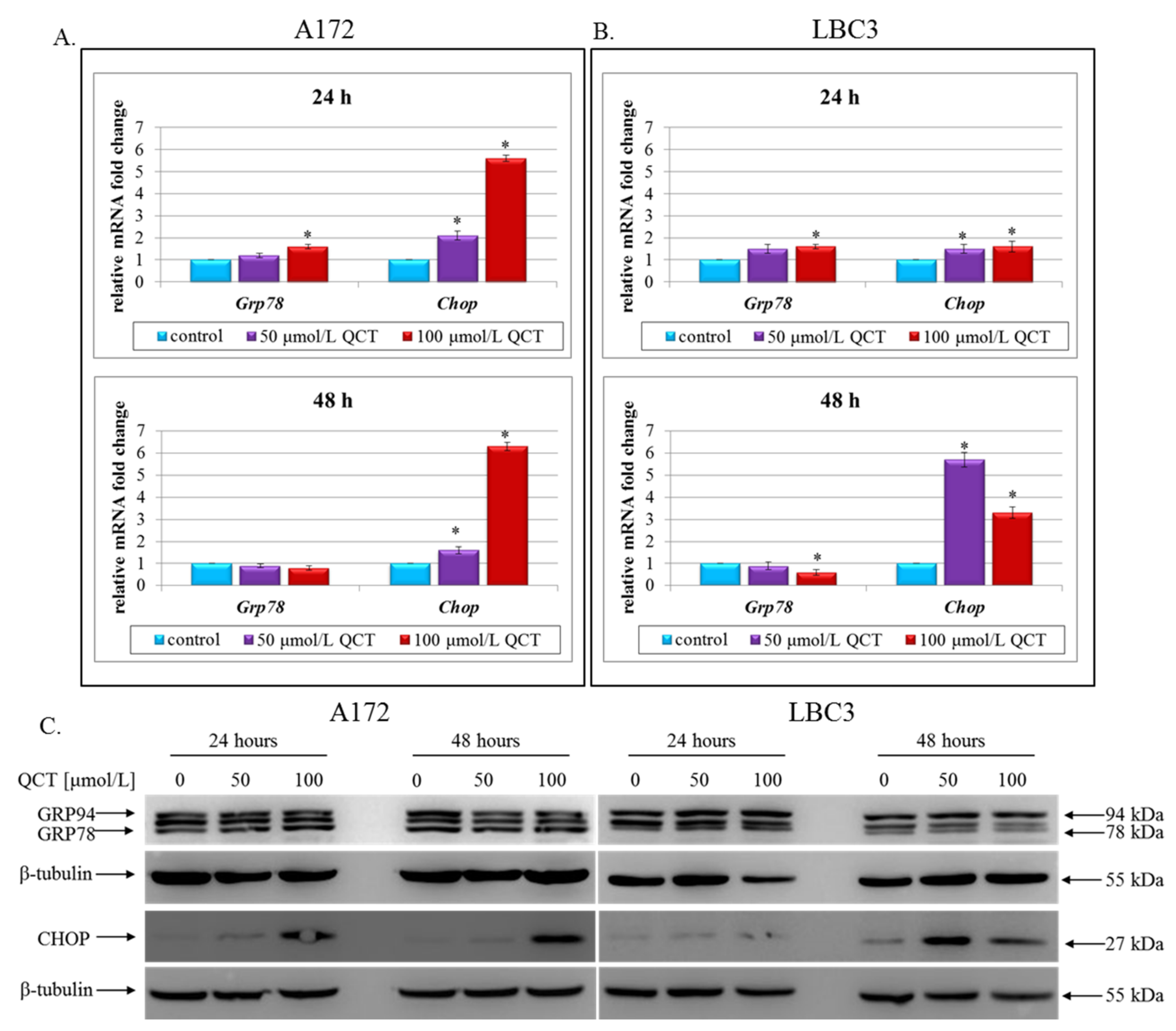 Ijms 23 01345 g004 Ijms 23 01345 g004
