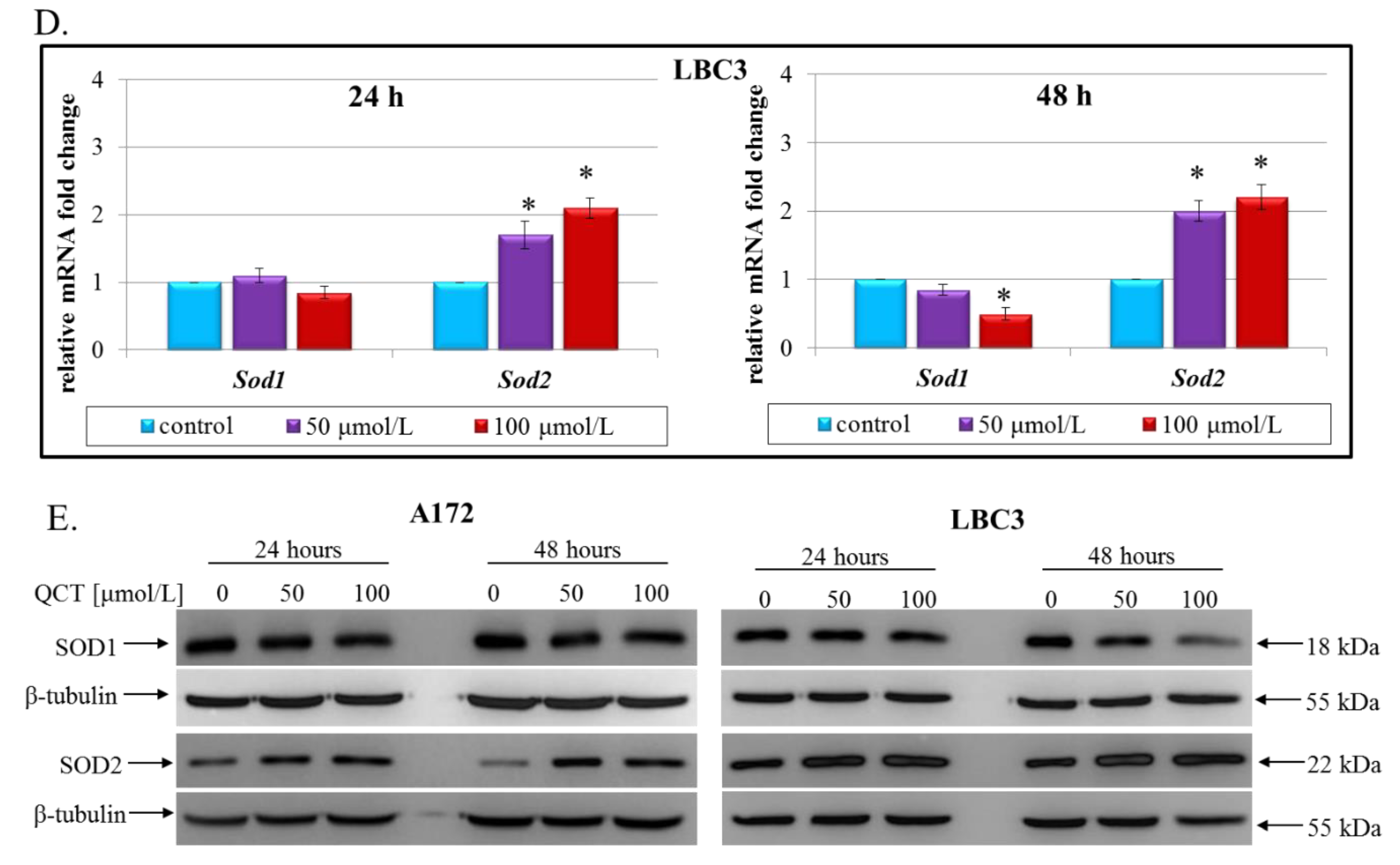 Ijms 23 01345 g005b Ijms 23 01345 g005b