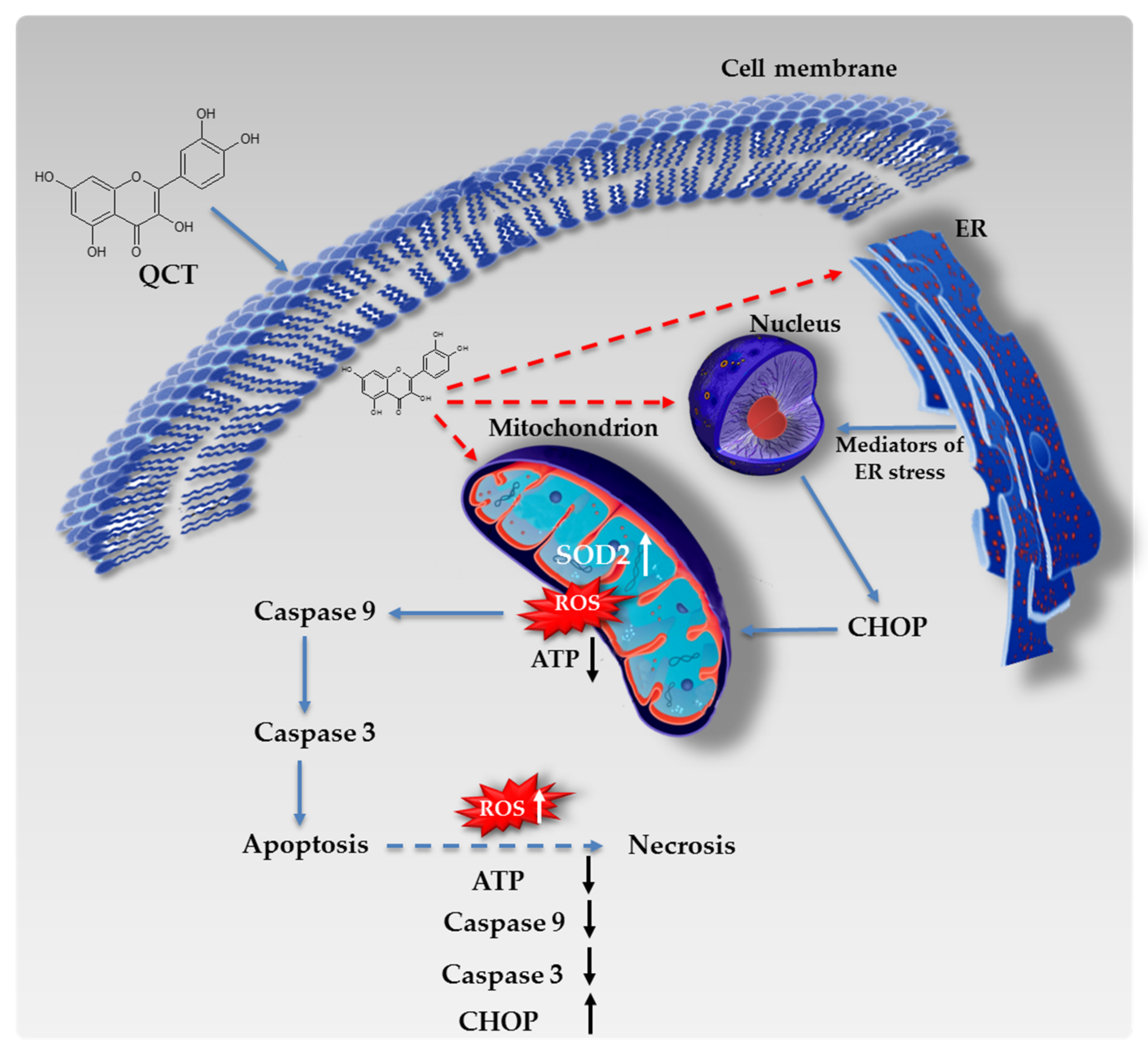 Ijms 23 01345 g008 Ijms 23 01345 g008