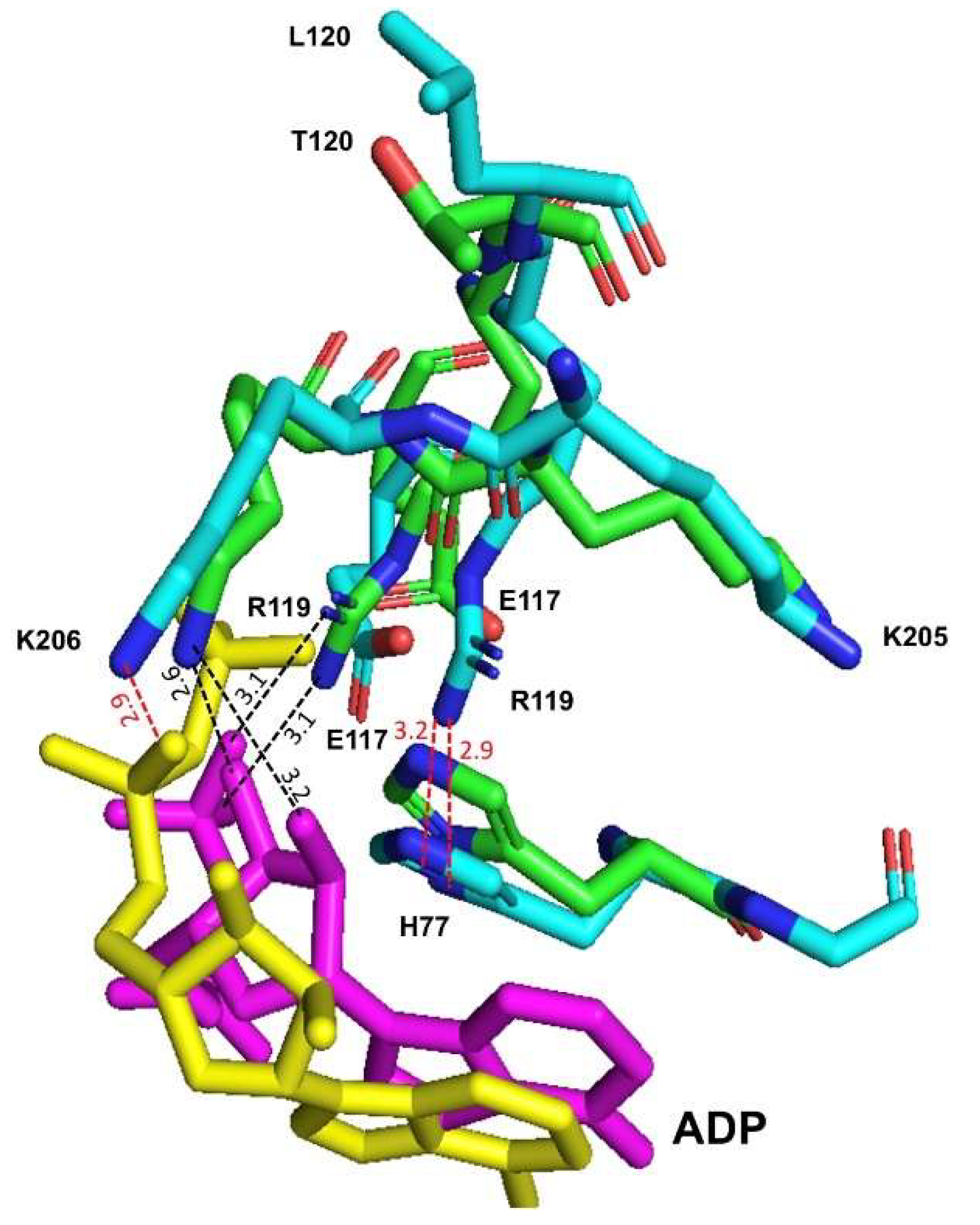 Ijms 23 01347 g008 Ijms 23 01347 g008