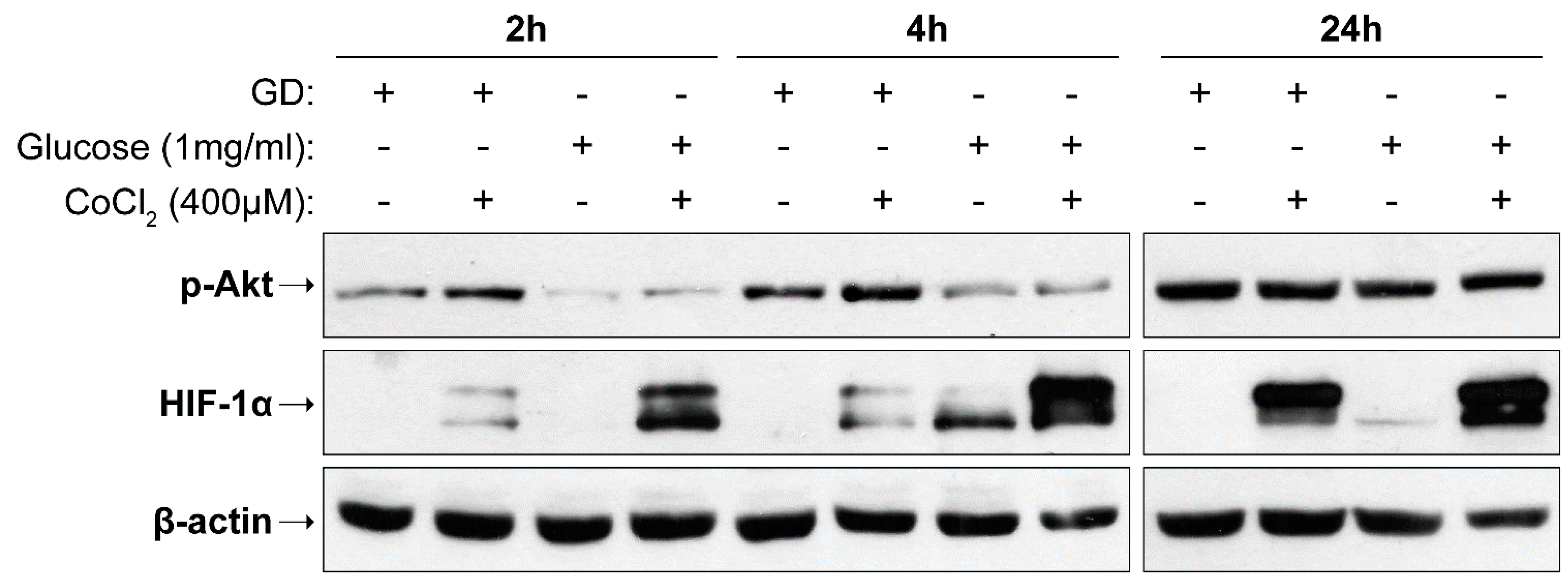 Ijms 23 01386 g003