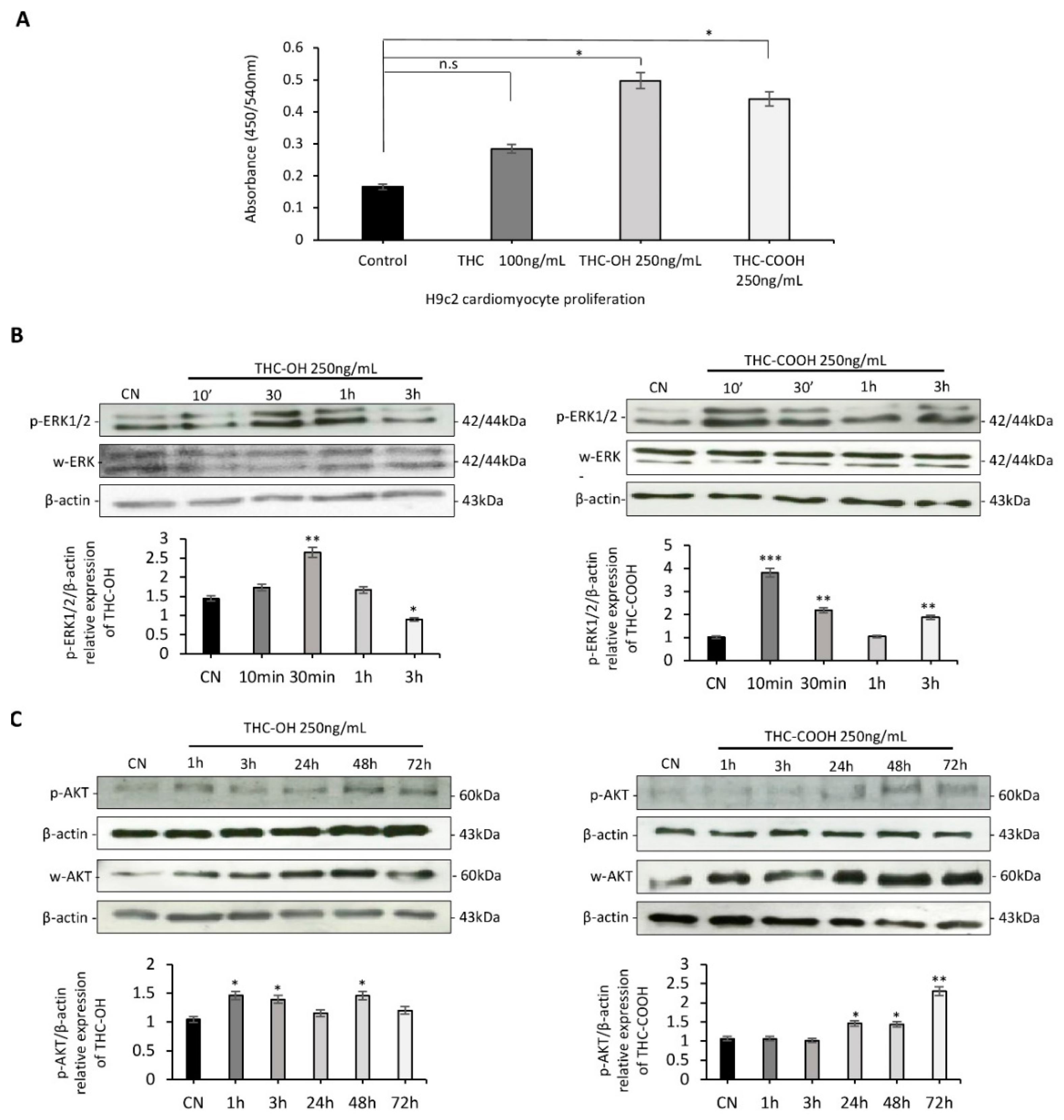 Ijms 23 01401 g002 Ijms 23 01401 g002