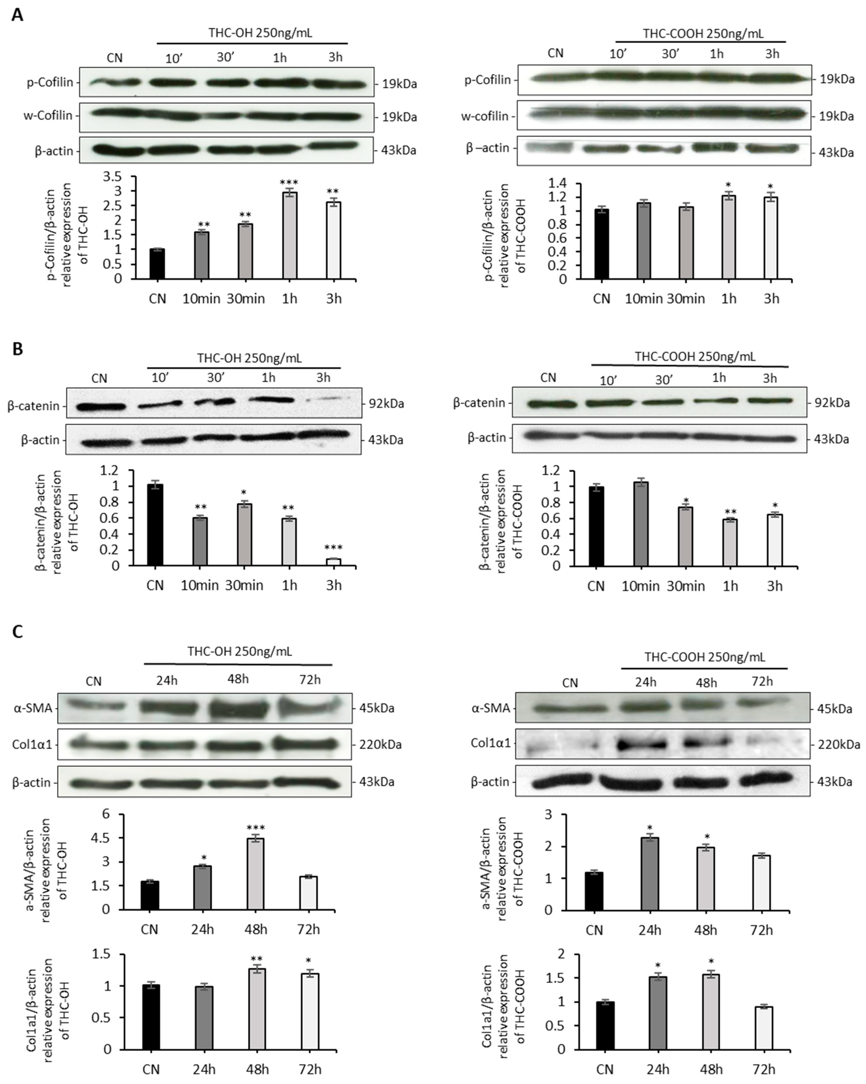 Ijms 23 01401 g004 Ijms 23 01401 g004