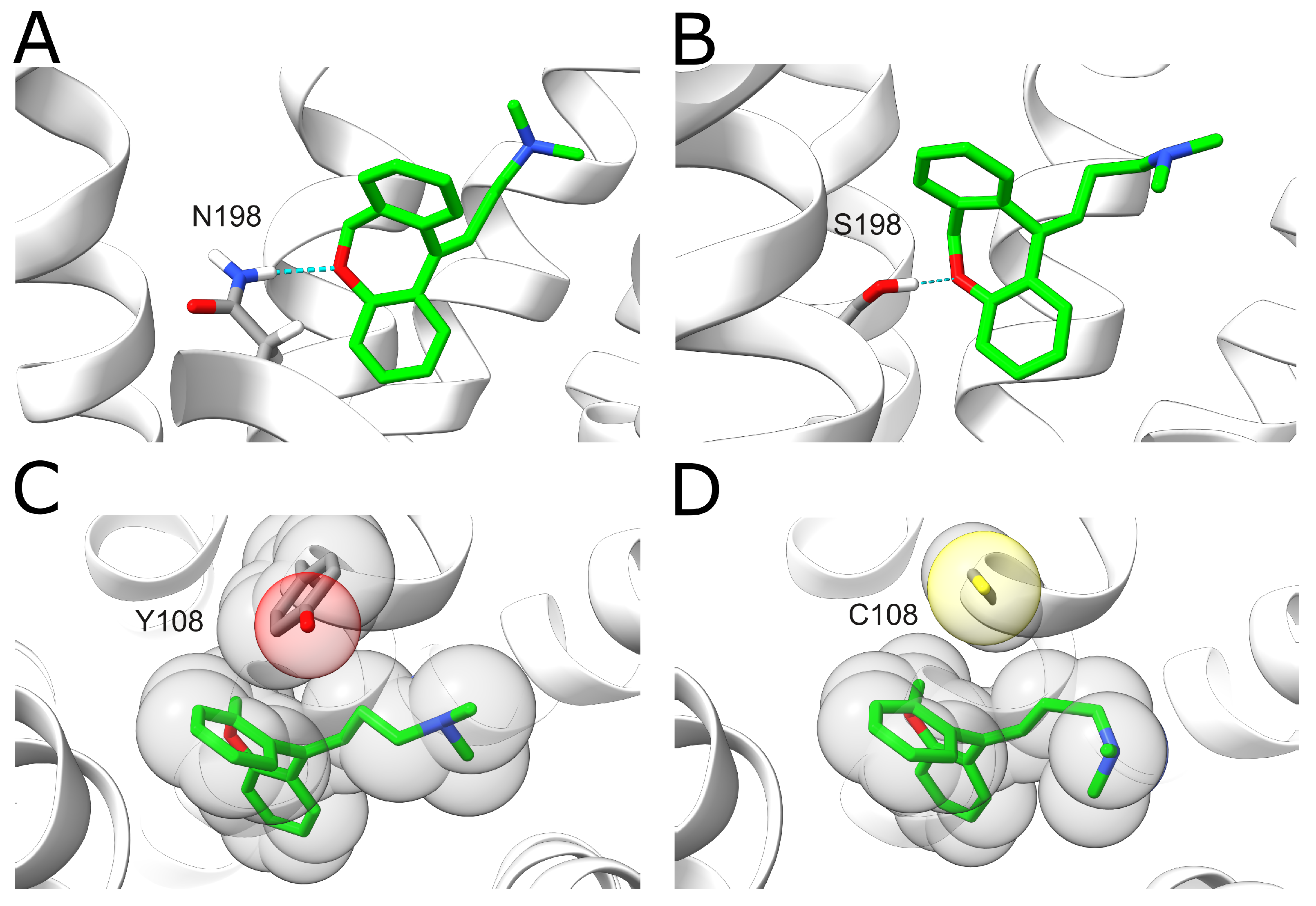 Ijms Free Full Text Effect Of Ions And Sequence Variants On The Antagonist Binding 2986