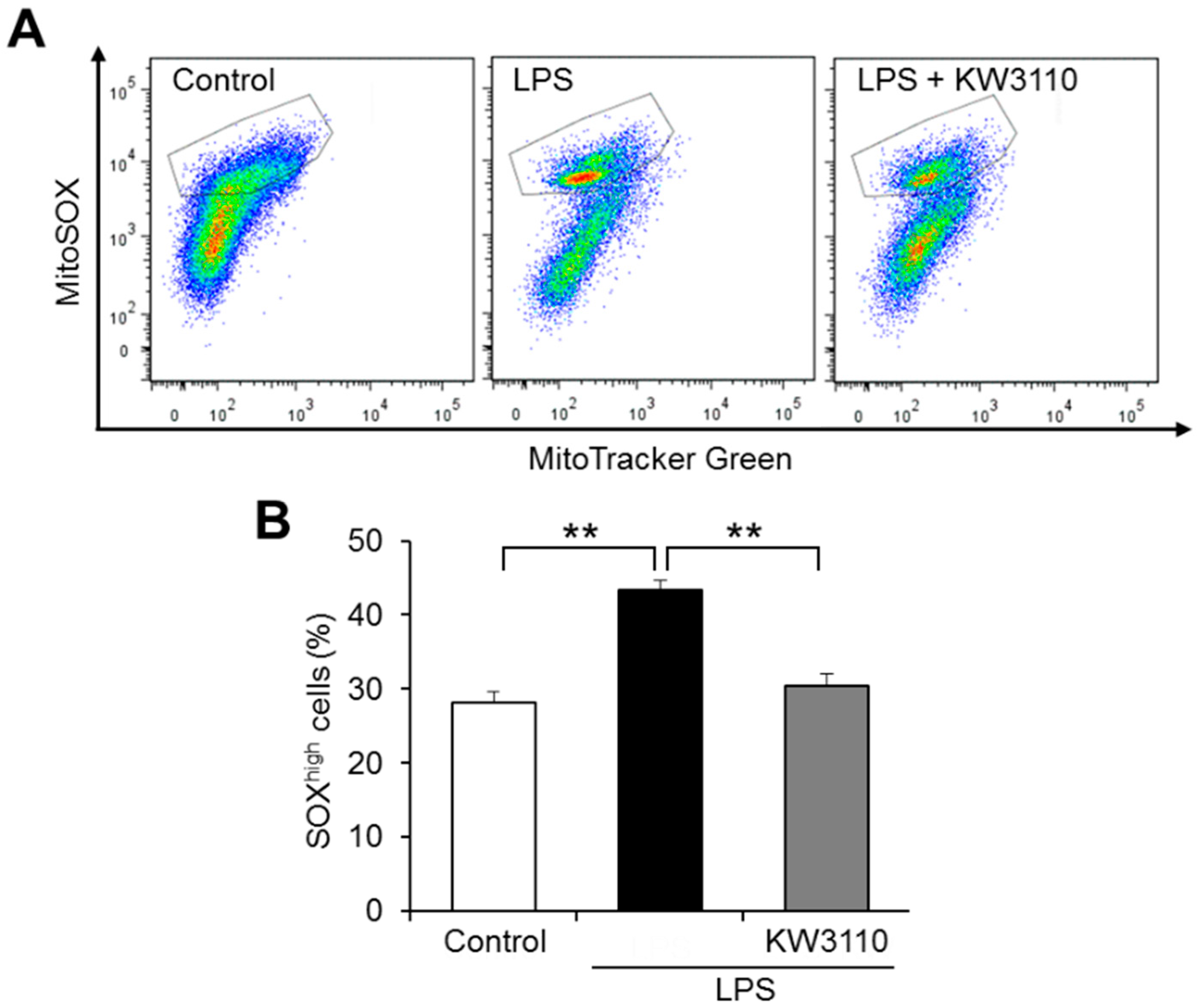 IJMS Free Full Text Lactobacillus paracasei KW3110 Prevents