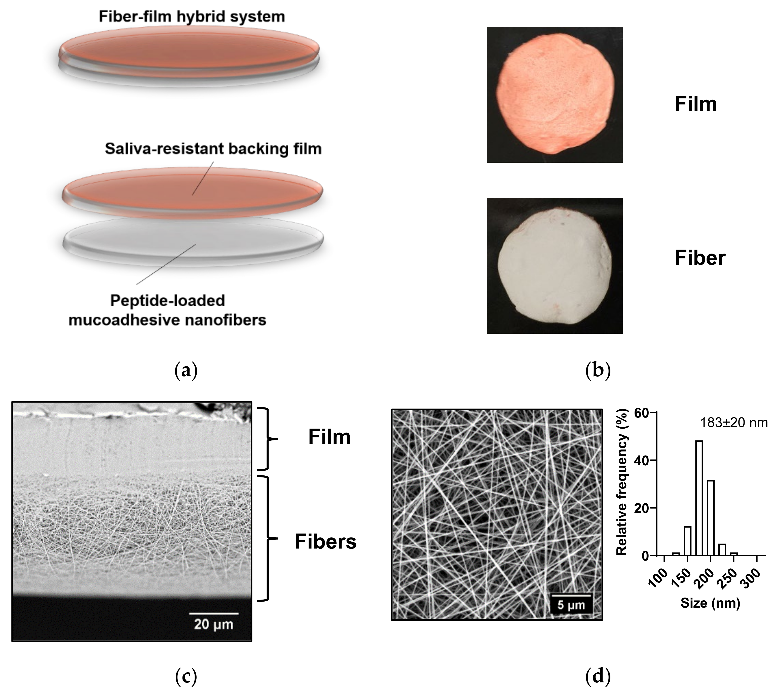 IJMS | Free Full-Text | Mucoadhesive Electrospun Nanofiber-Based Hybrid  System with Controlled and Unidirectional Release of Desmopressin