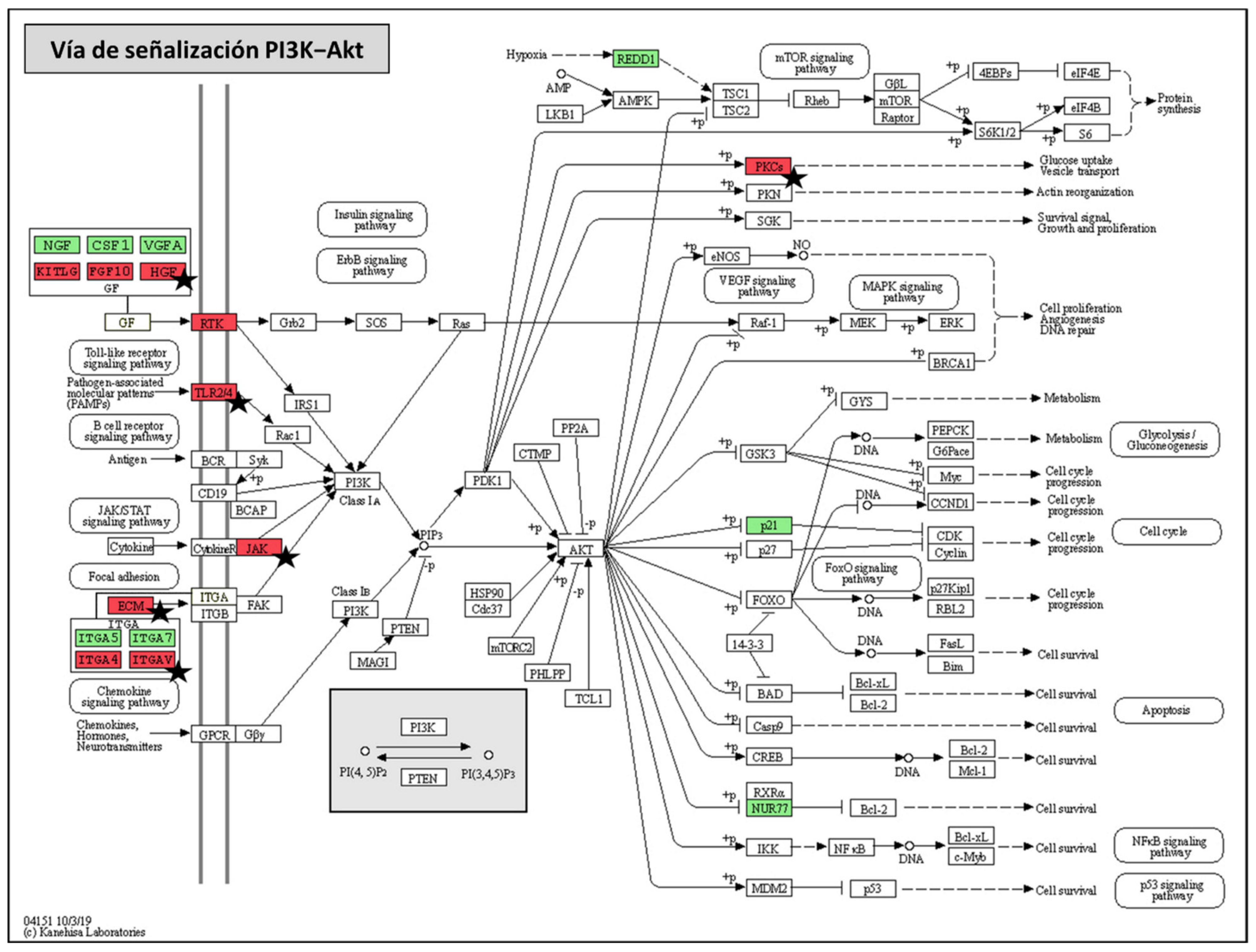 Ijms 23 01466 g006 Ijms 23 01466 g006