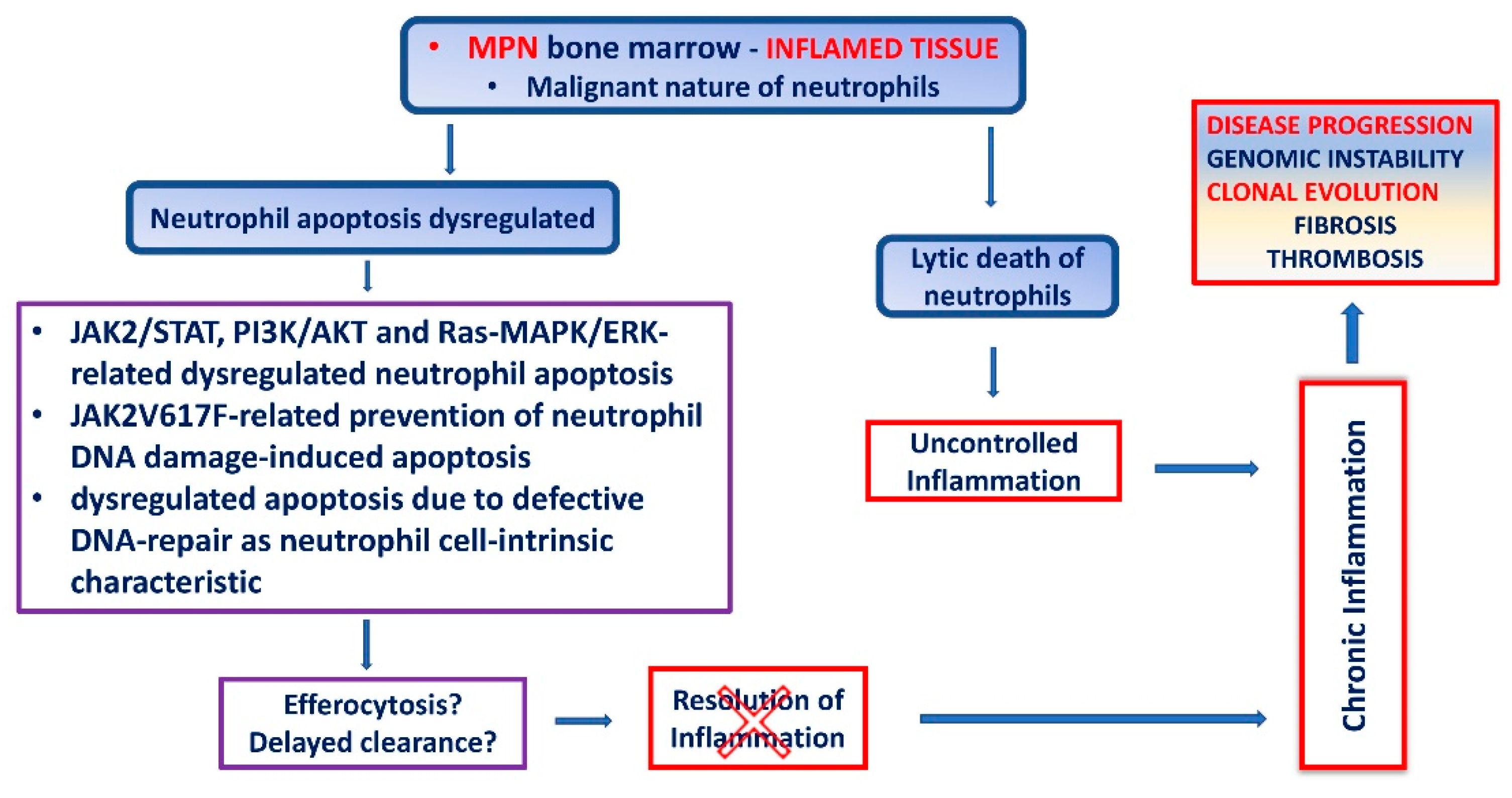 Ijms 23 01490 g002 Ijms 23 01490 g002