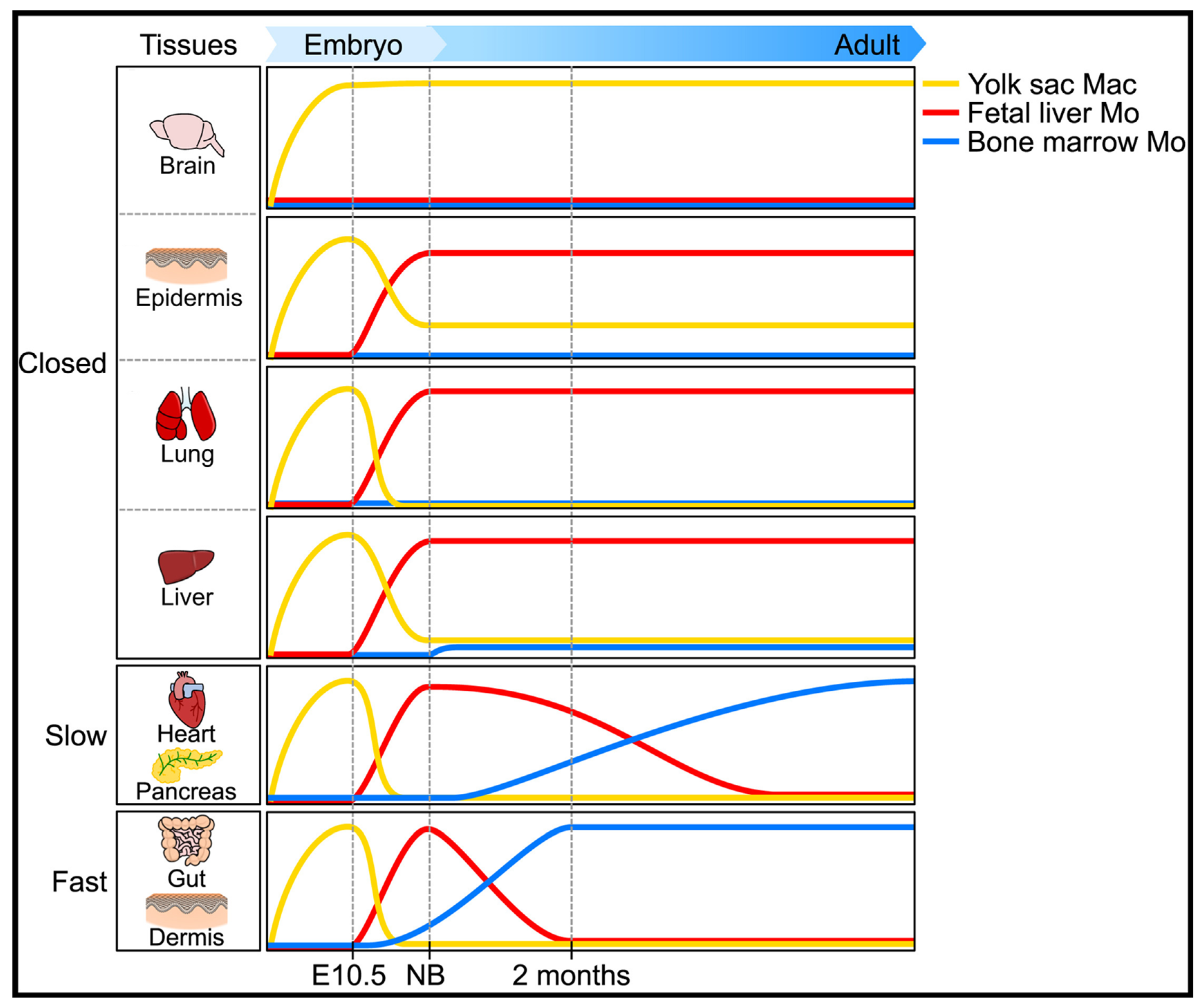 Ijms 23 01496 g002 Ijms 23 01496 g002