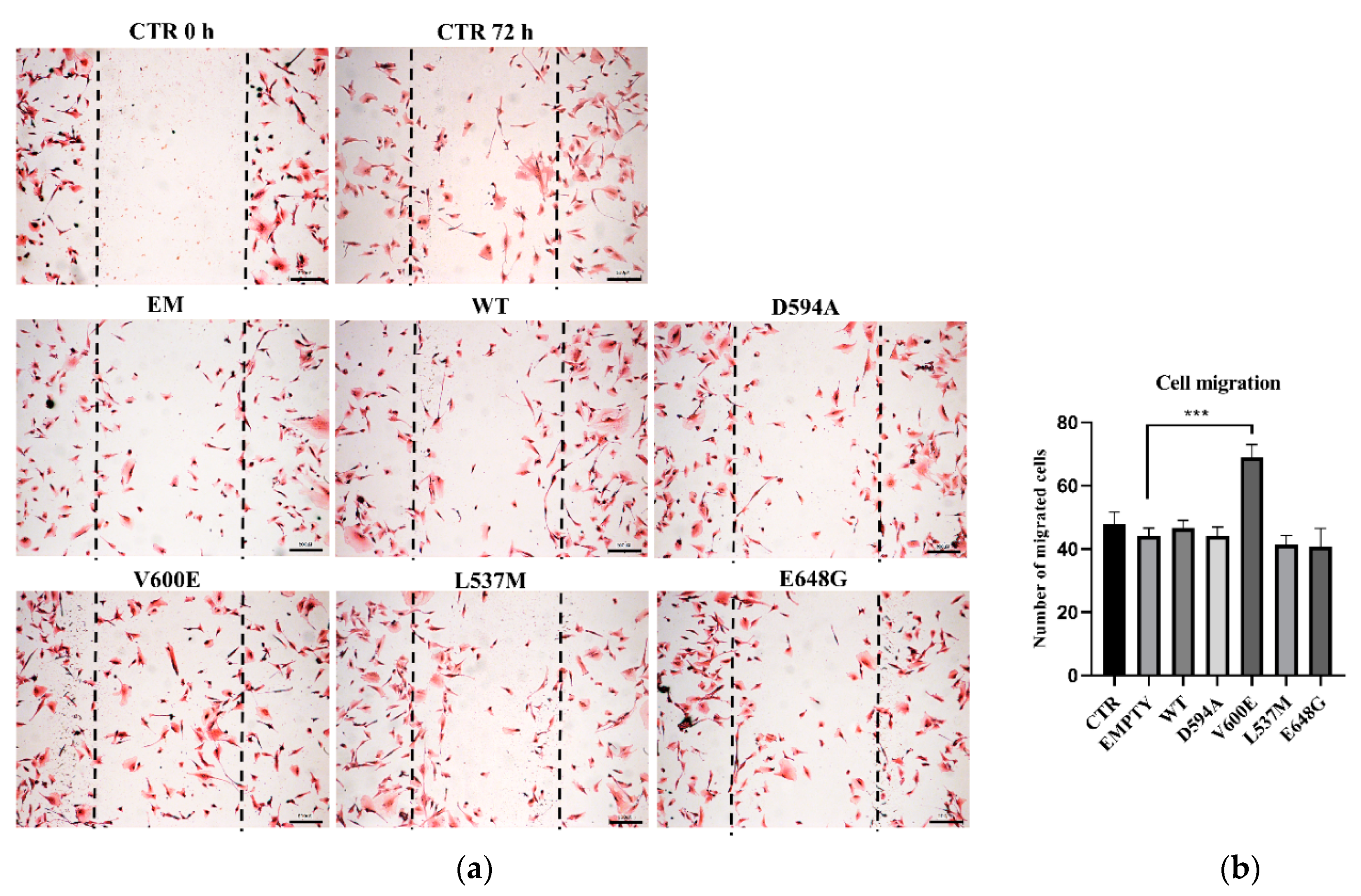 Ijms 23 01548 g003 Ijms 23 01548 g003