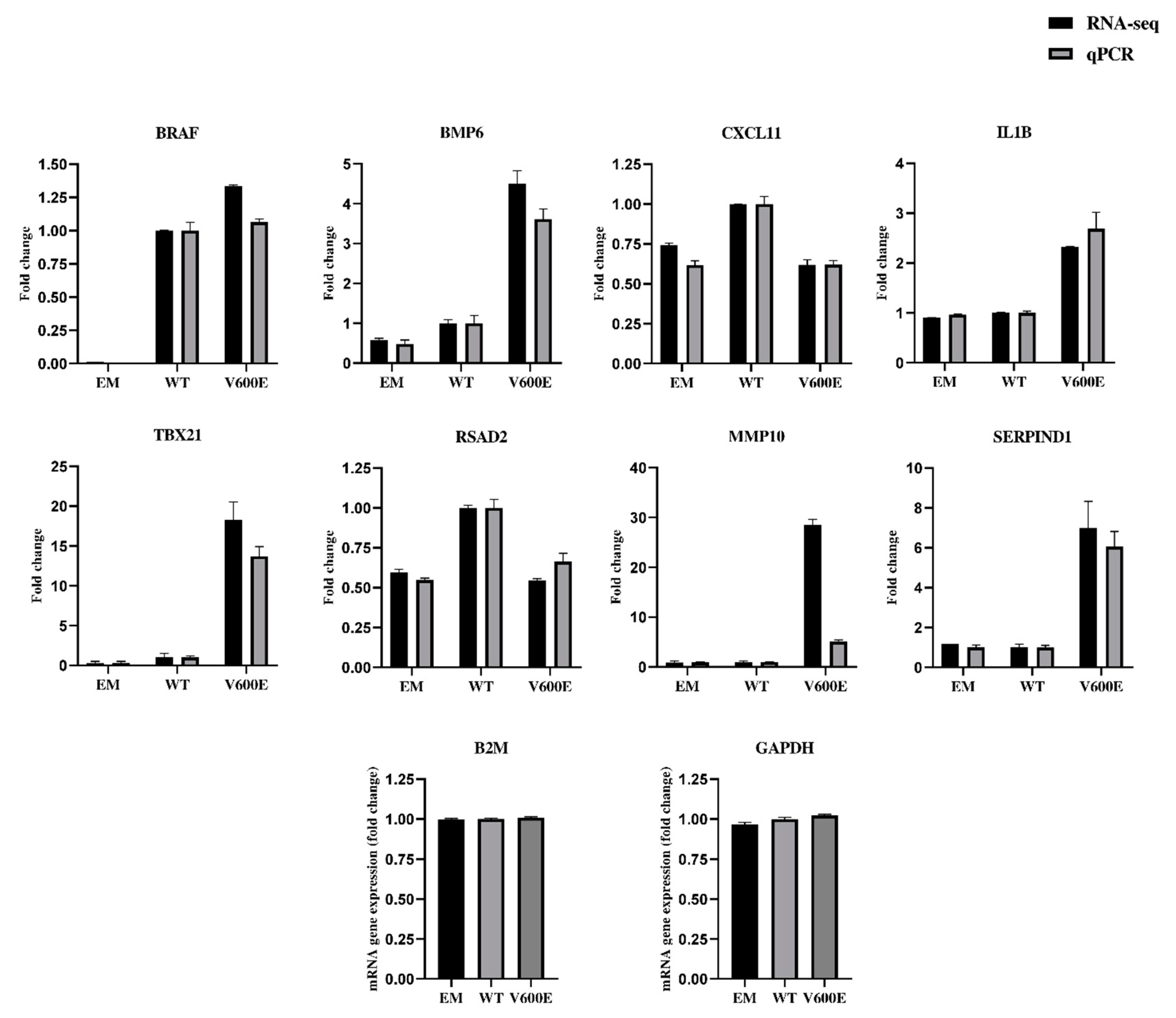 Ijms 23 01548 g008 Ijms 23 01548 g008