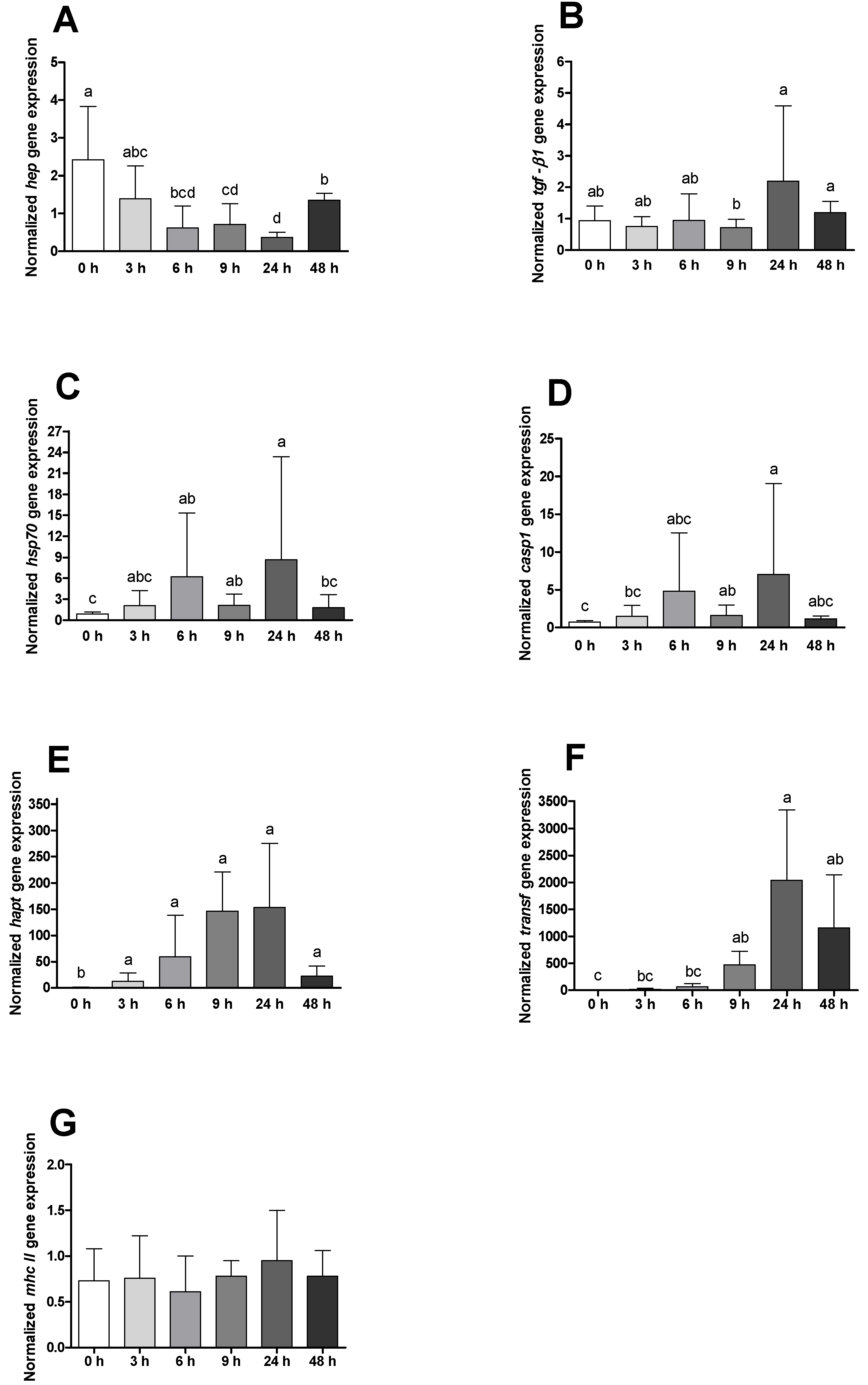 Ijms 23 01561 g007 Ijms 23 01561 g007