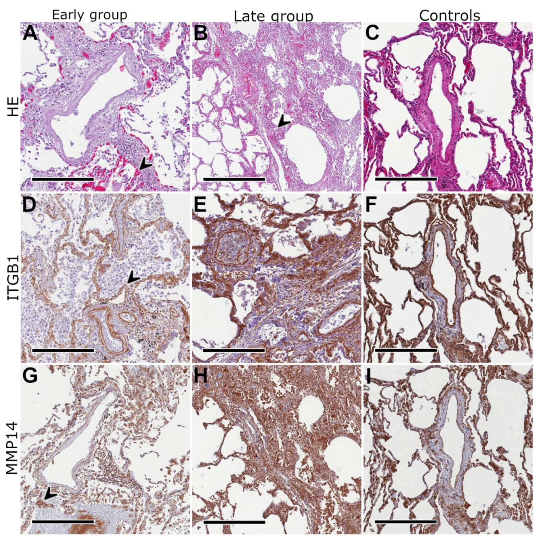 Ijms 23 01583 g003
