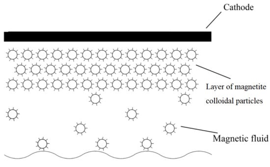 https://www.mdpi.com/ijms/ijms-23-01642/article_deploy/html/images/ijms-23-01642-g002-550.jpg