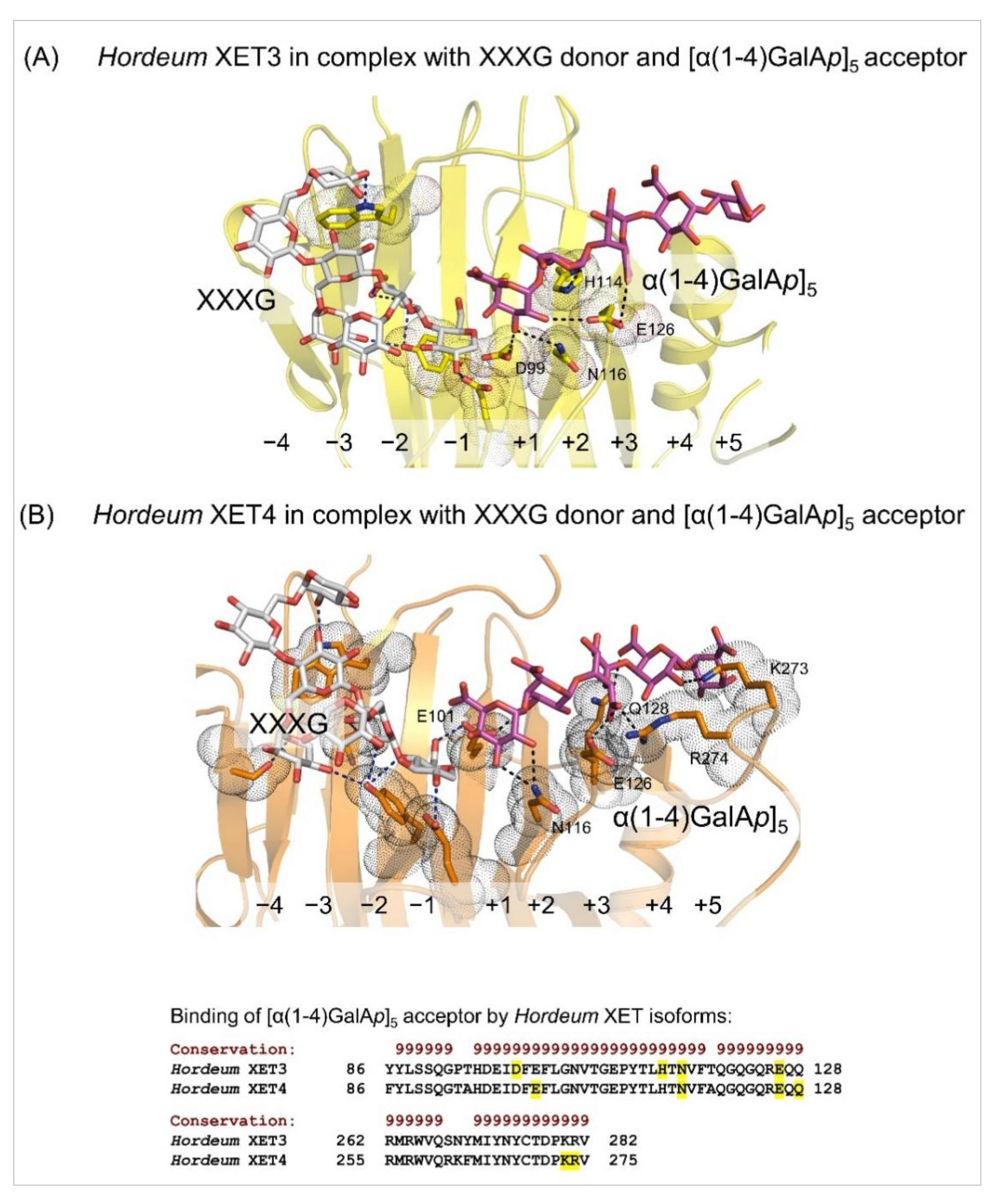 https://www.mdpi.com/ijms/ijms-23-01656/article_deploy/html/images/ijms-23-01656-g004.png