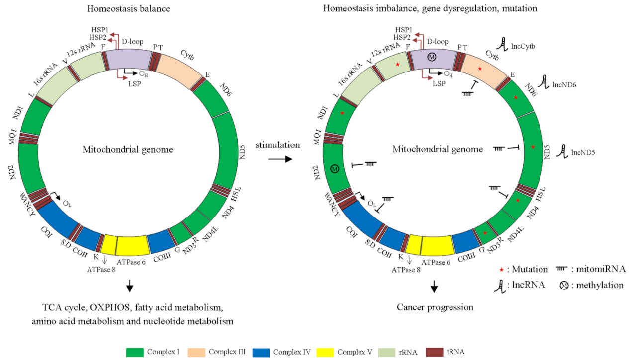 Ijms 23 01659 g001 Ijms 23 01659 g001