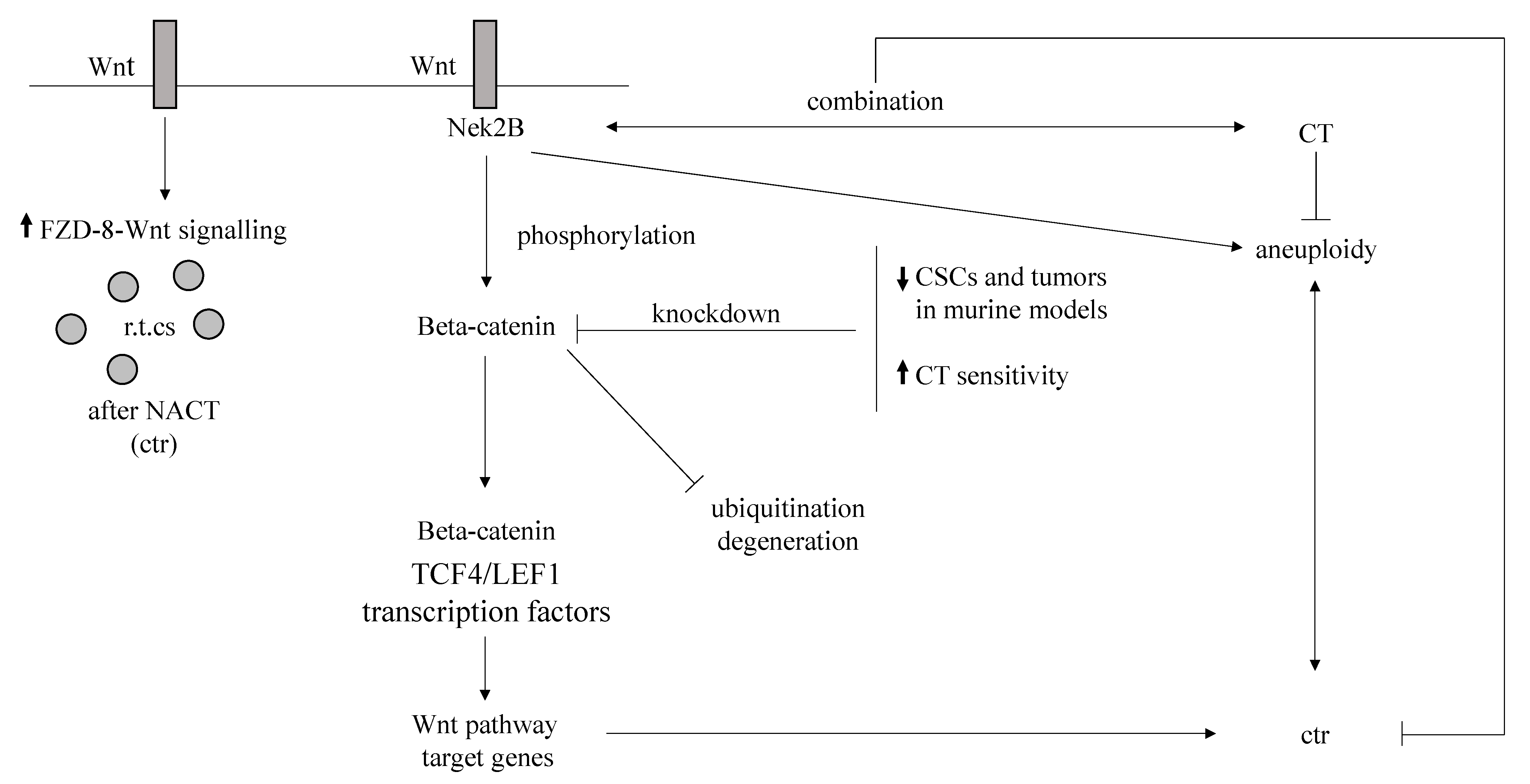 Ijms 23 01665 g002 Ijms 23 01665 g002