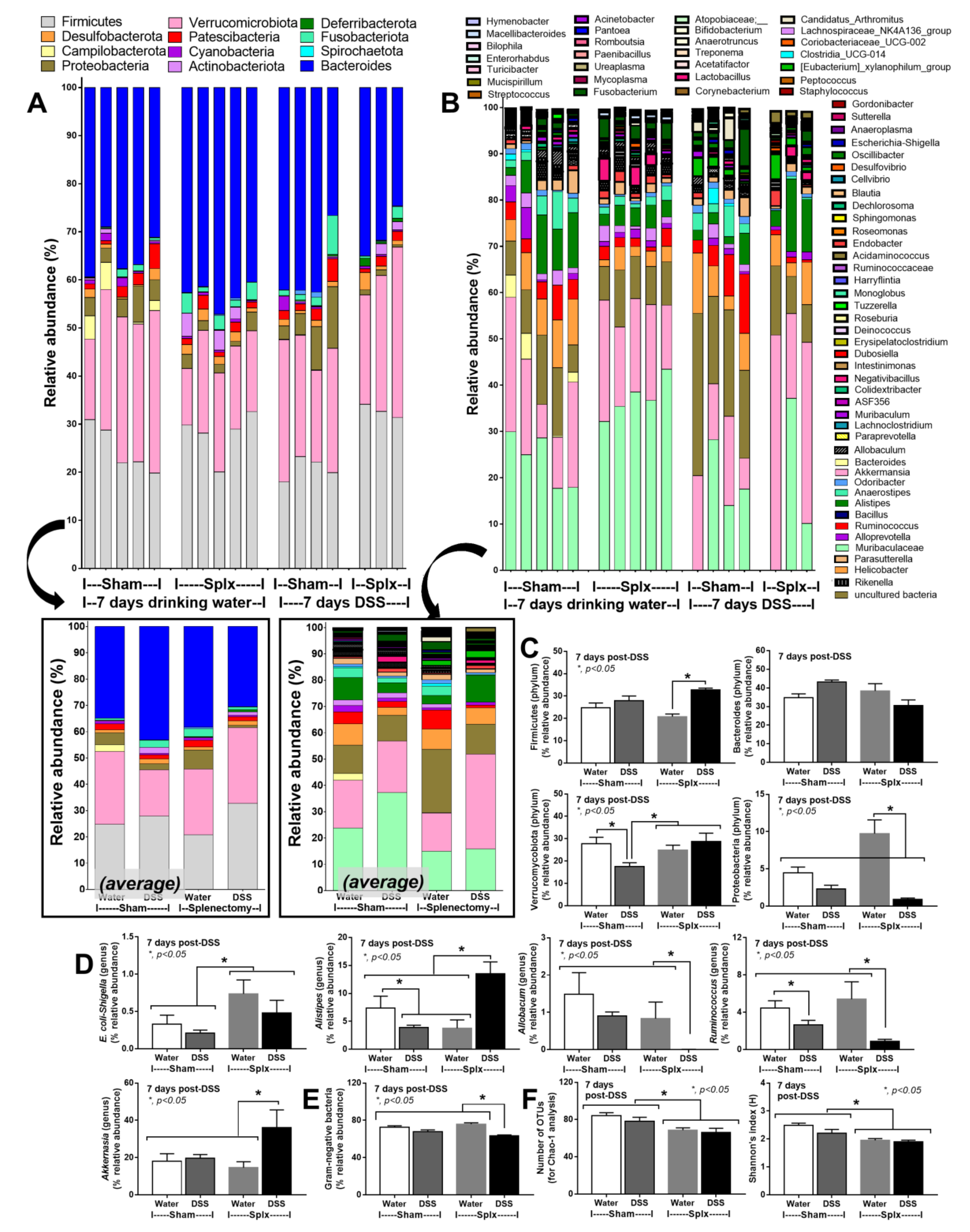 Ijms 23 01676 g005 Ijms 23 01676 g005