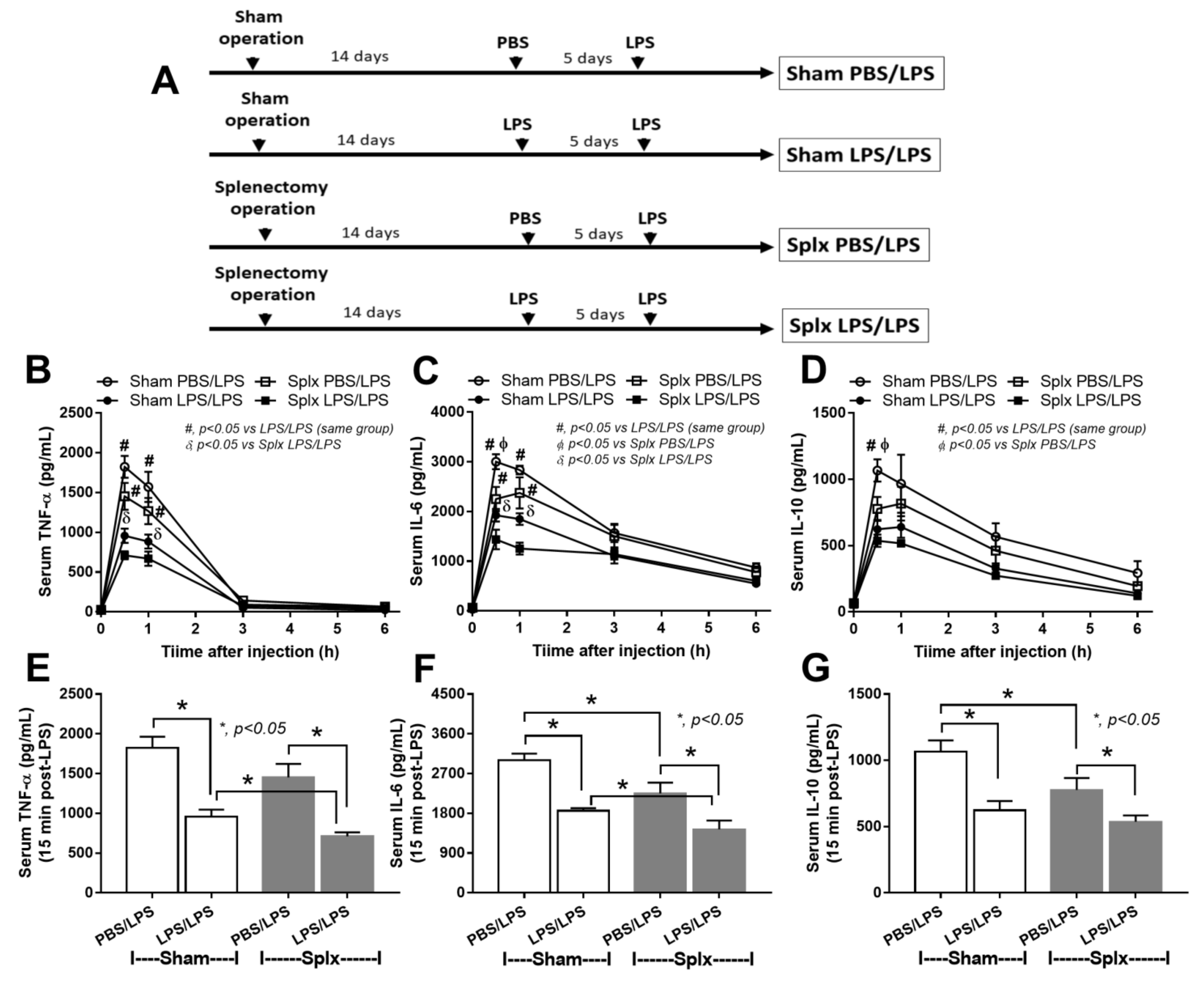 Ijms 23 01676 g006 Ijms 23 01676 g006