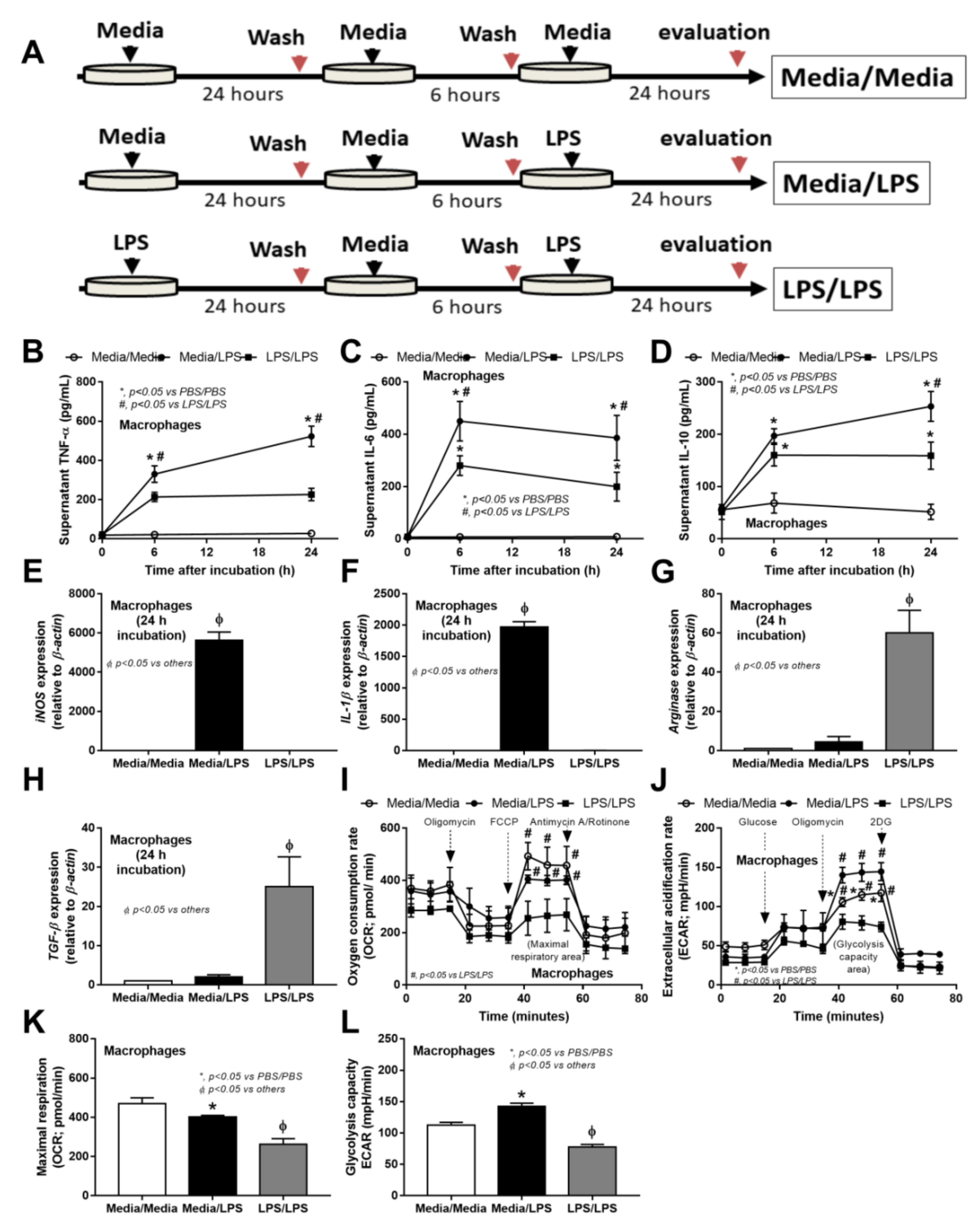 Ijms 23 01676 g007 Ijms 23 01676 g007