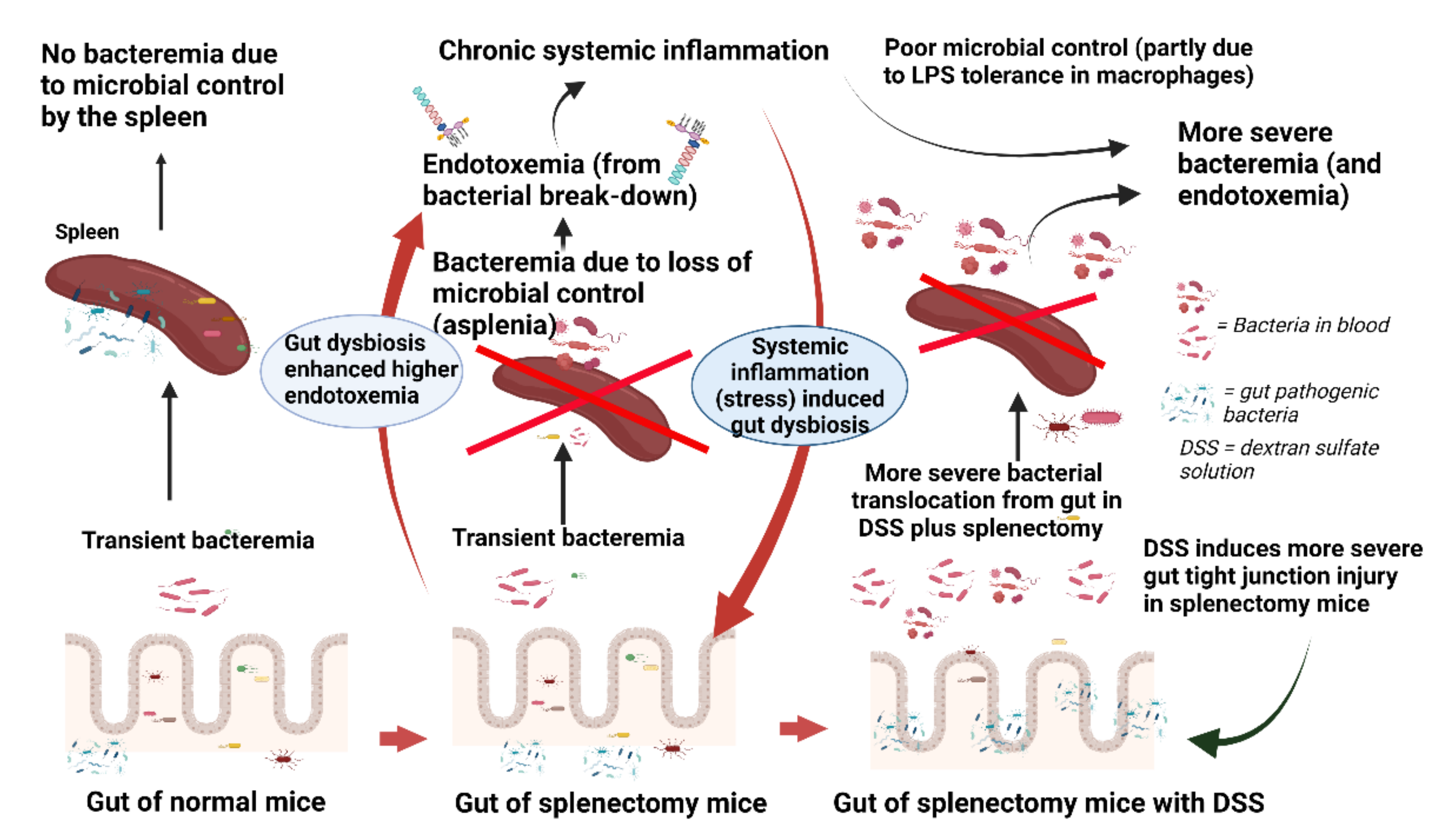 Ijms 23 01676 g009 Ijms 23 01676 g009