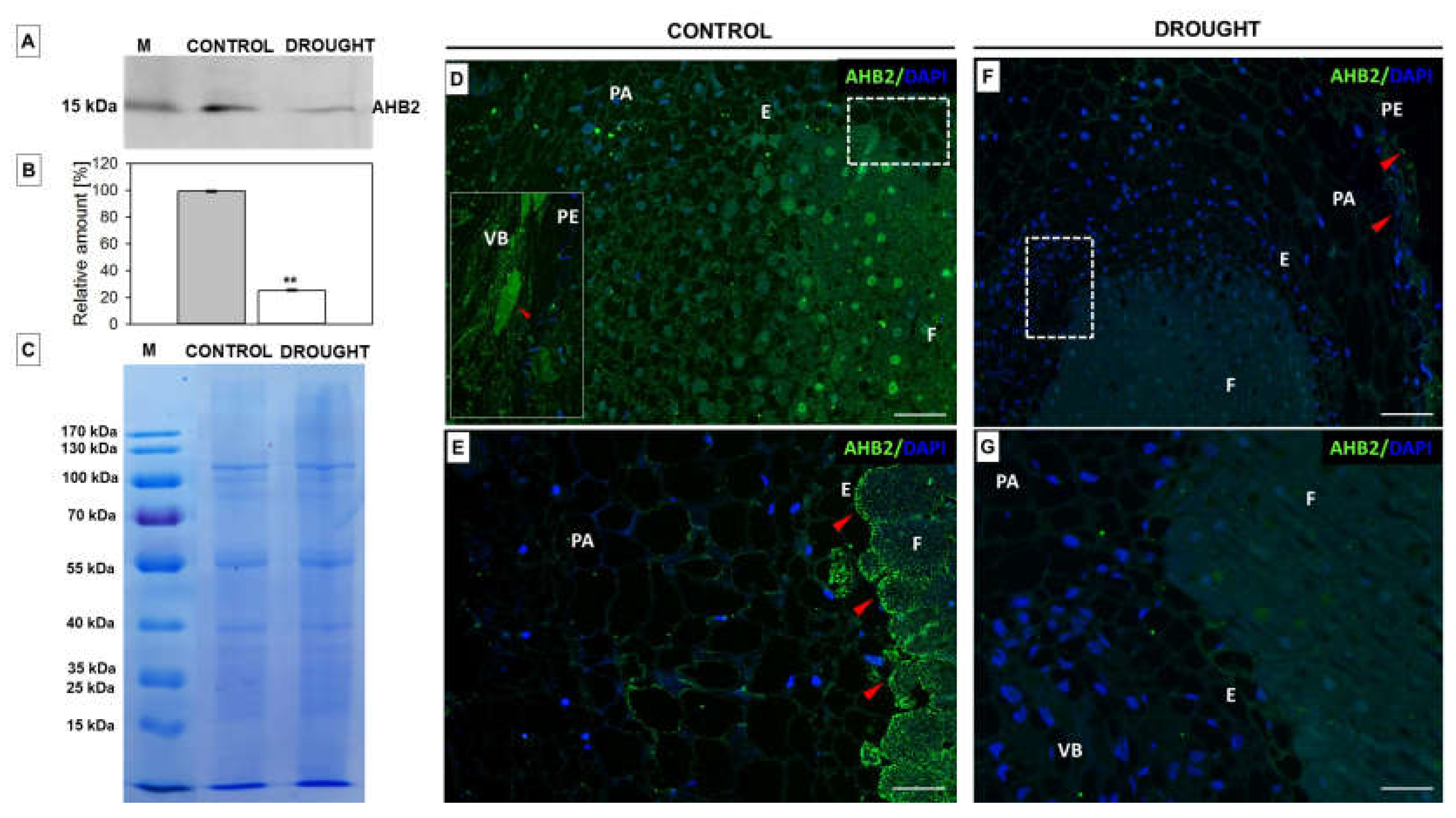 Ijms 23 01680 g002 Ijms 23 01680 g002