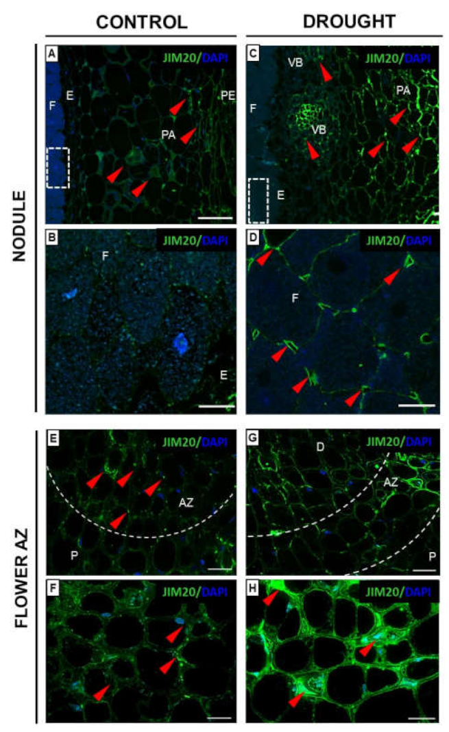 Ijms 23 01680 g004 Ijms 23 01680 g004