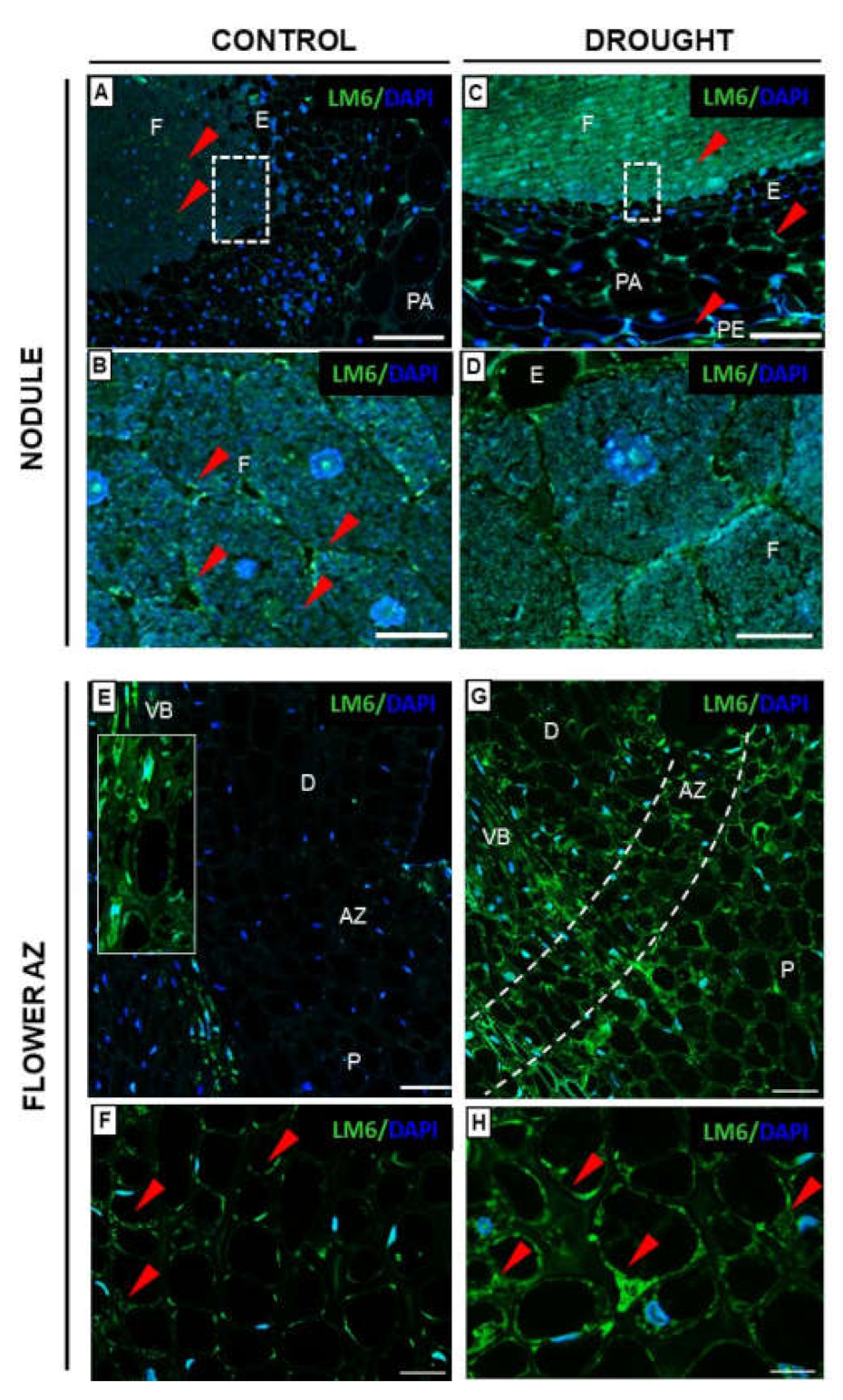 Ijms 23 01680 g008 Ijms 23 01680 g008