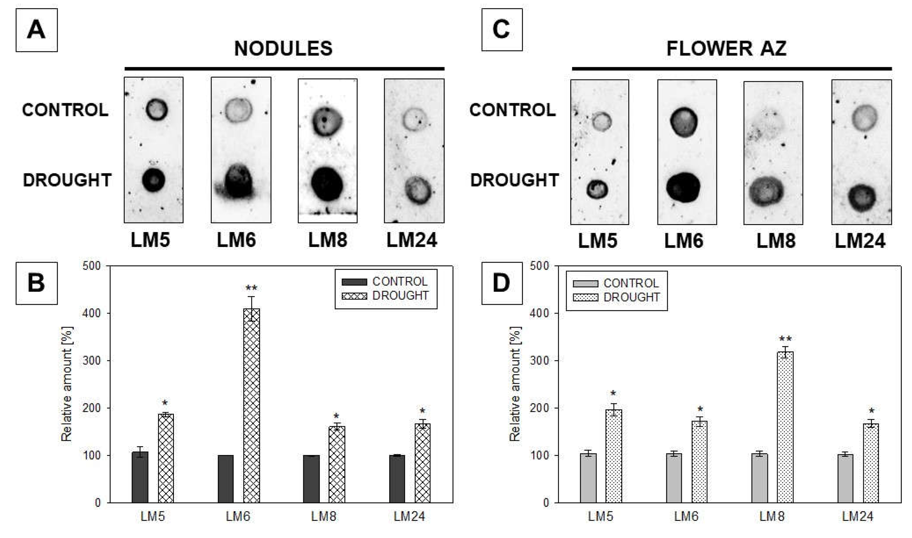 Ijms 23 01680 g011 Ijms 23 01680 g011