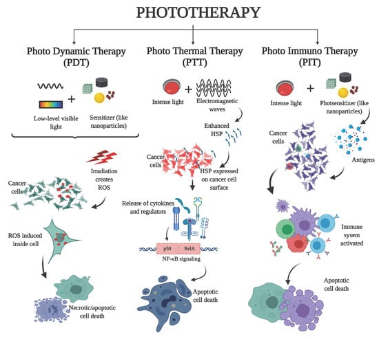 Survey of Clinical Translation of Cancer Nanomedicines—Lessons