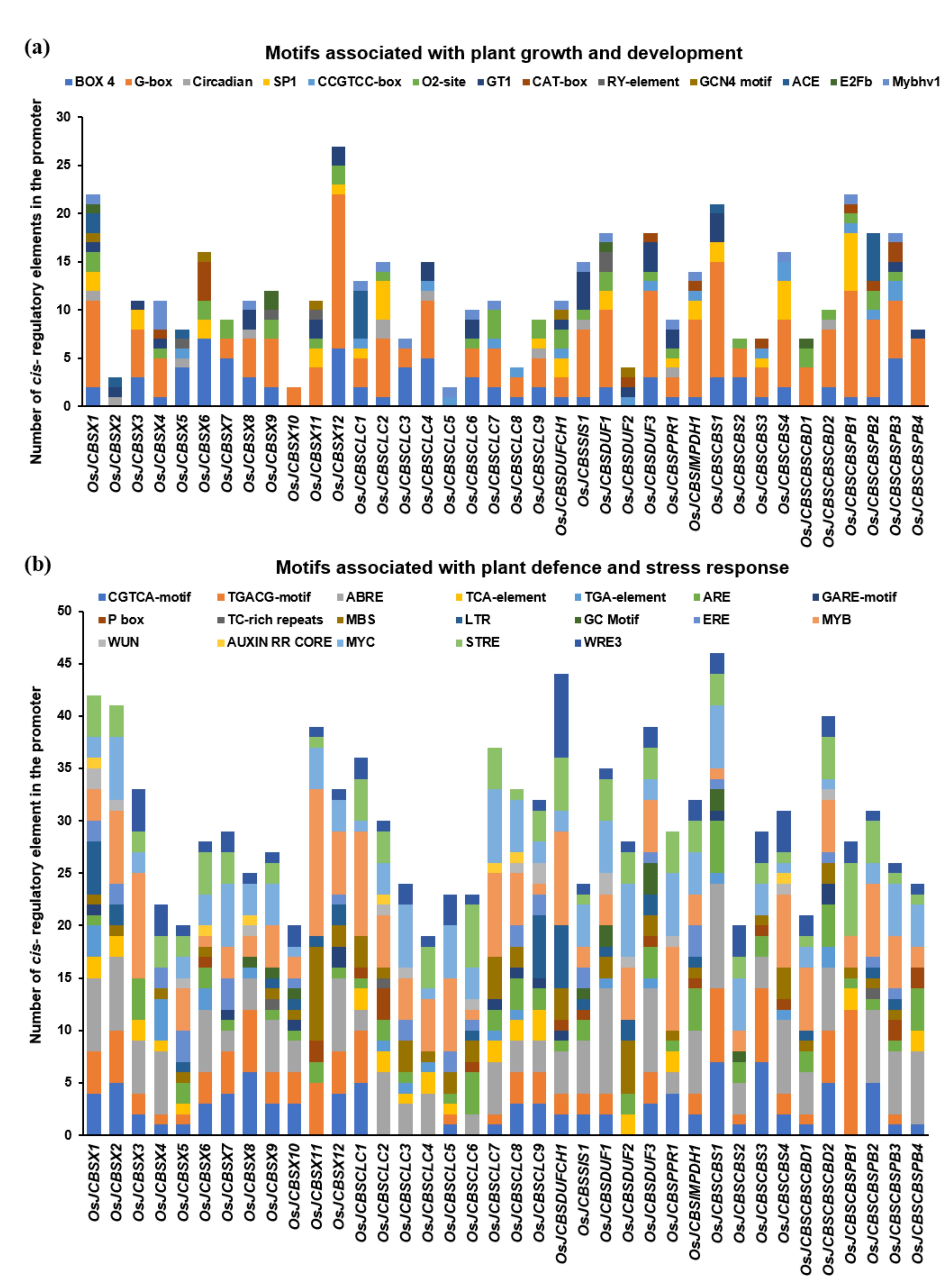 IJMS | Free Full-Text | Genetic Conservation of CBS Domain Containing ...