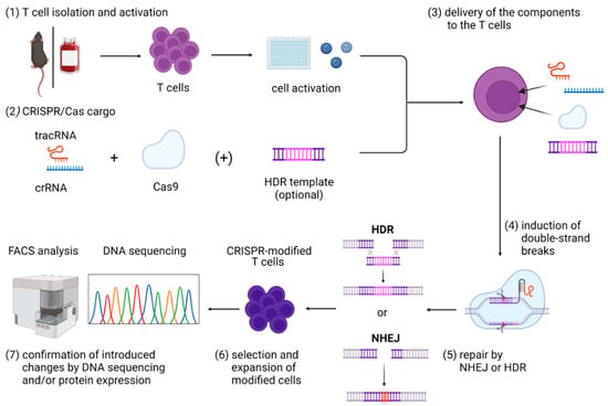 Crispr Kit Review | Bruin Blog