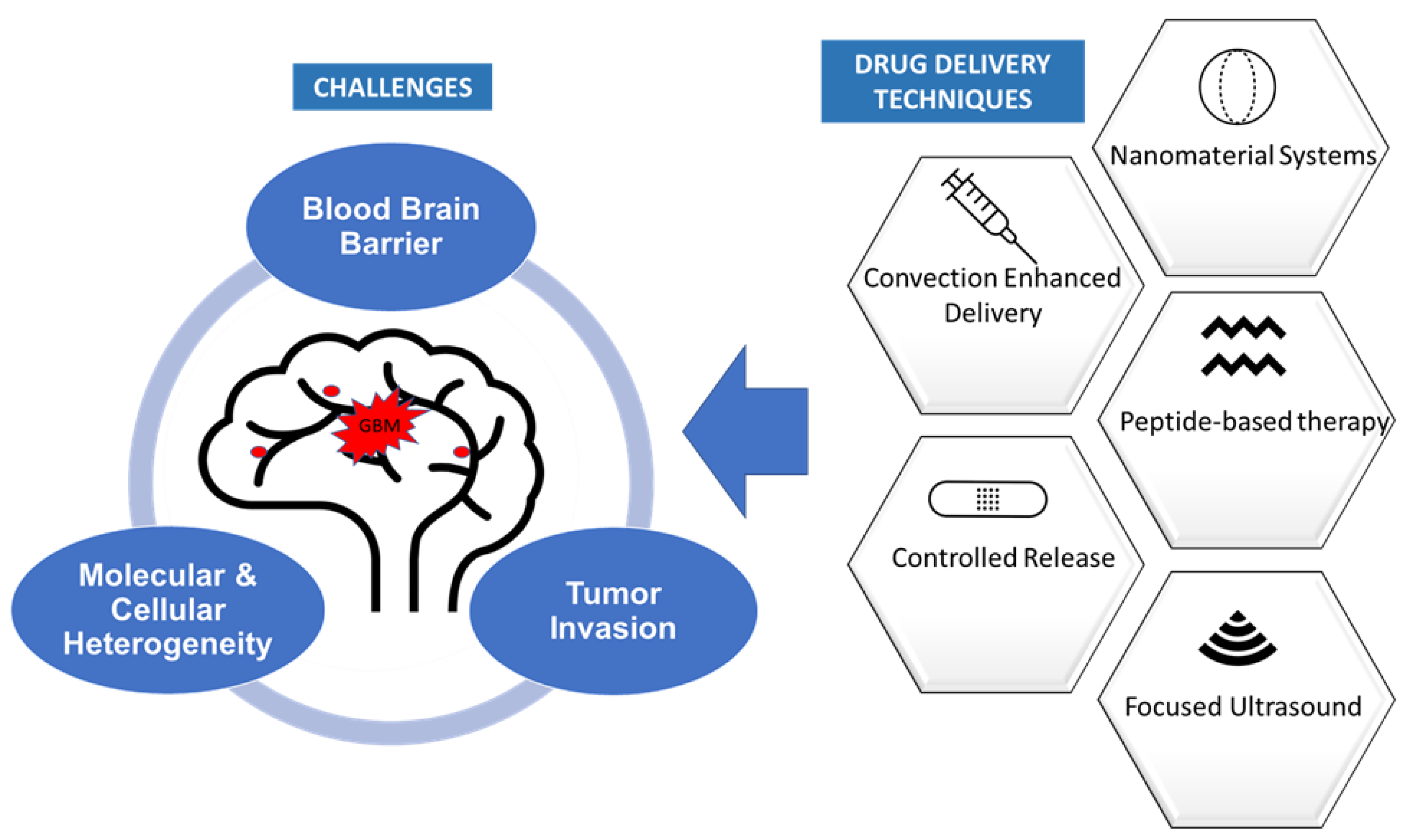 IJMS Free FullText Delivering Therapeutics to Glioblastoma