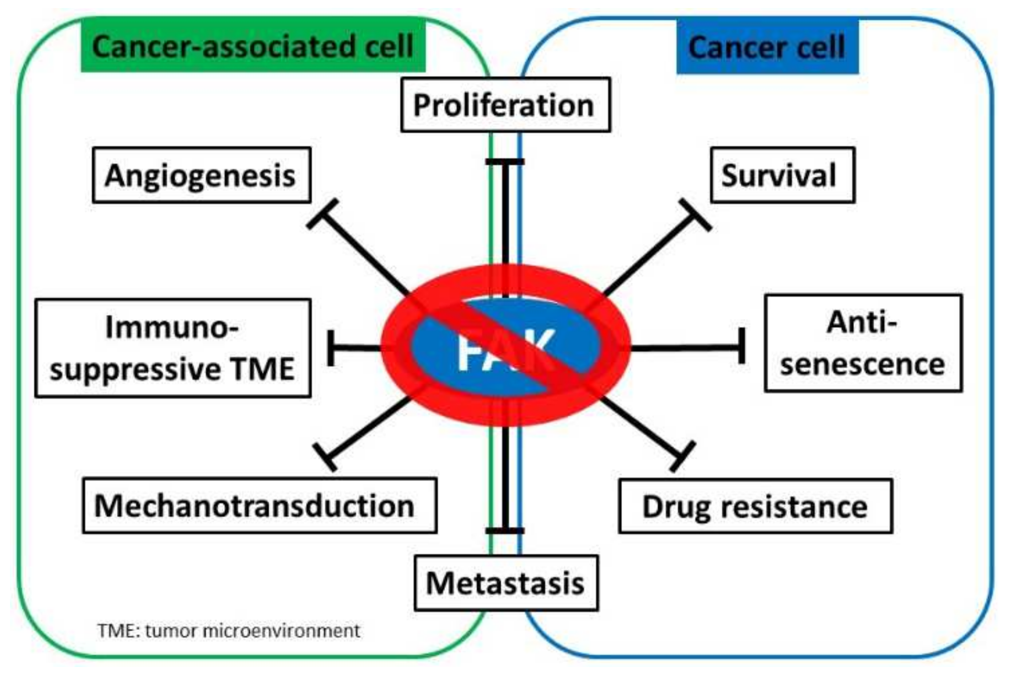 Ijms 23 01726 g003 Ijms 23 01726 g003