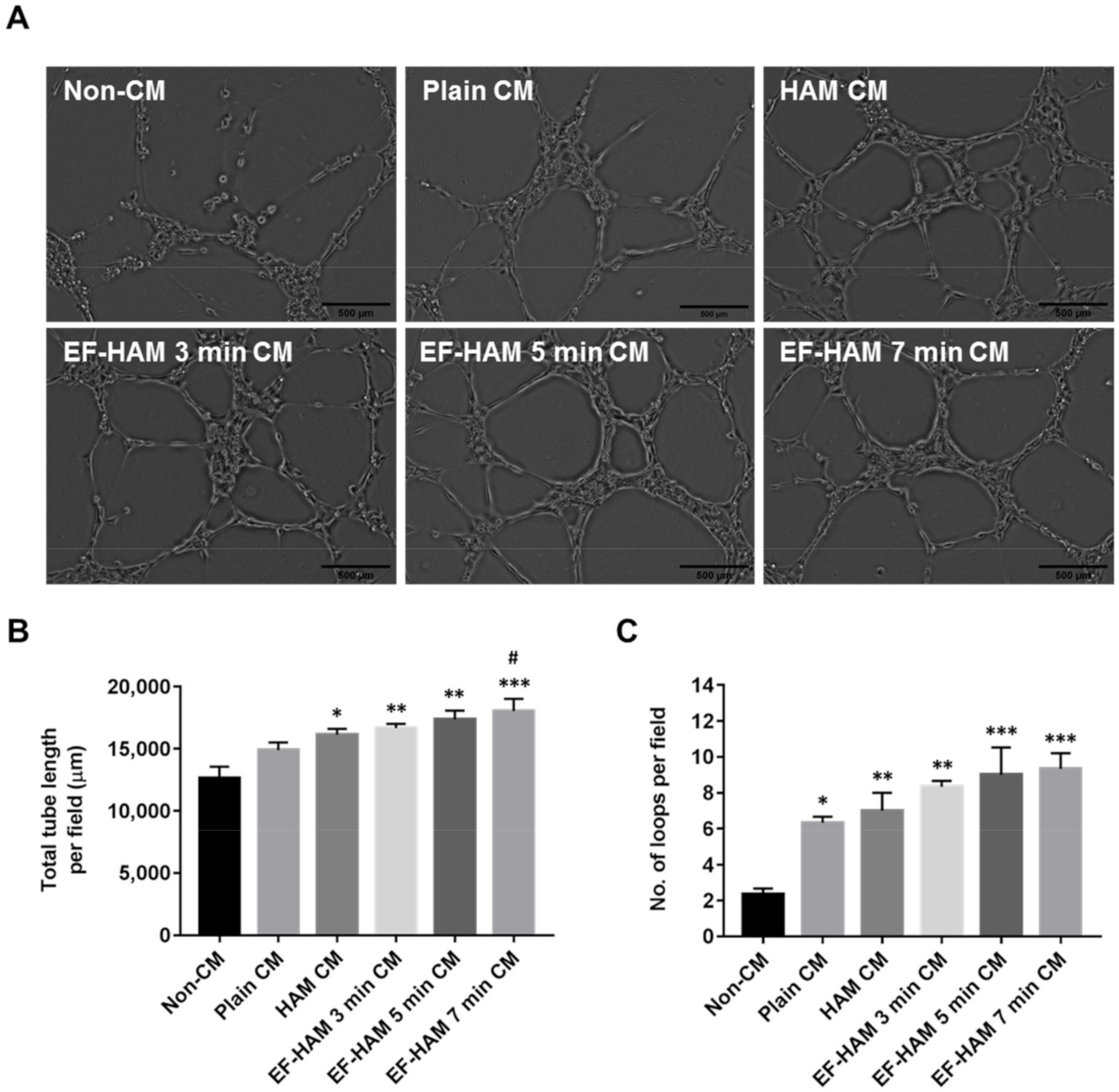 Ijms 23 01743 g006