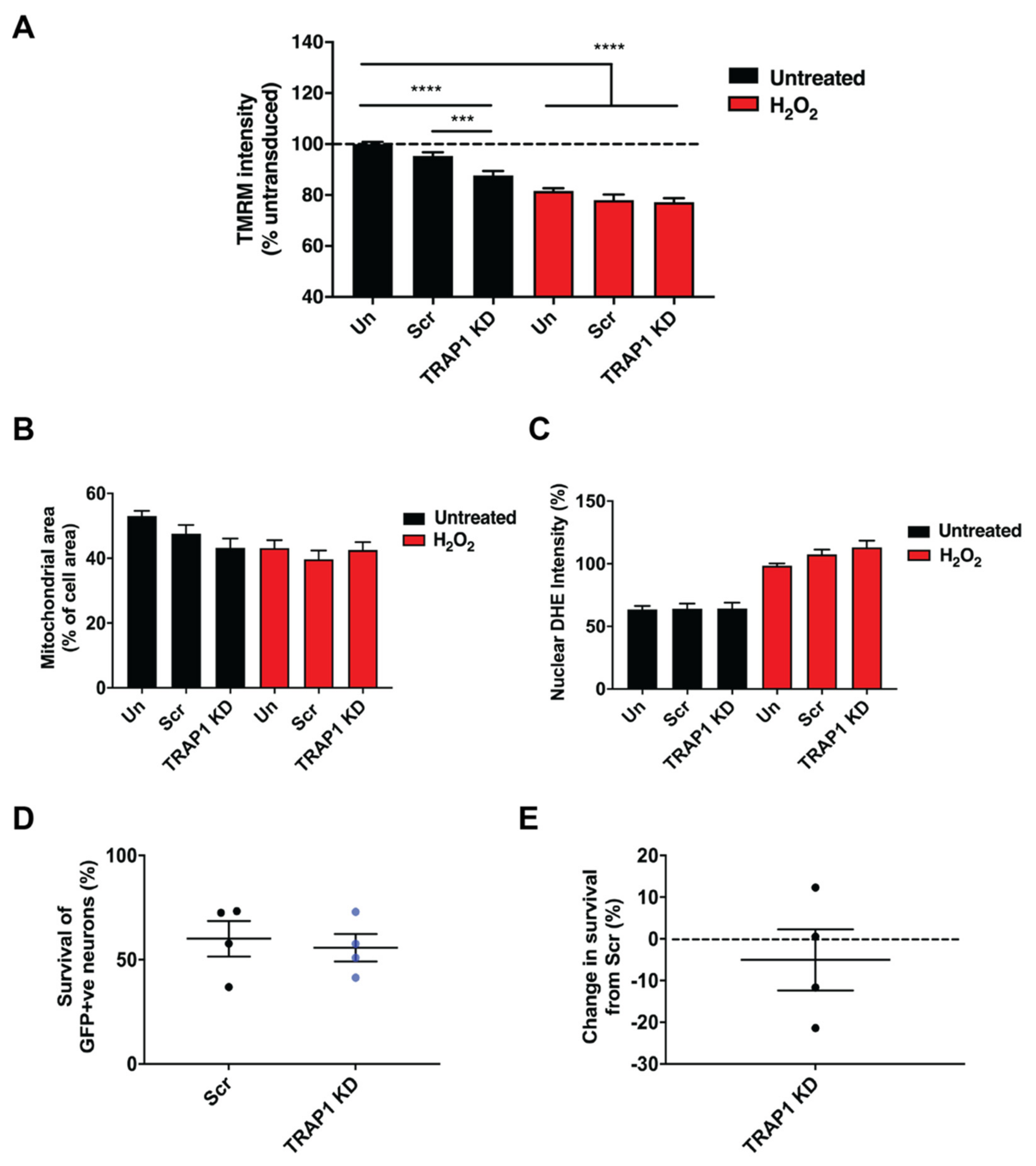 Ijms 23 01789 g003 Ijms 23 01789 g003