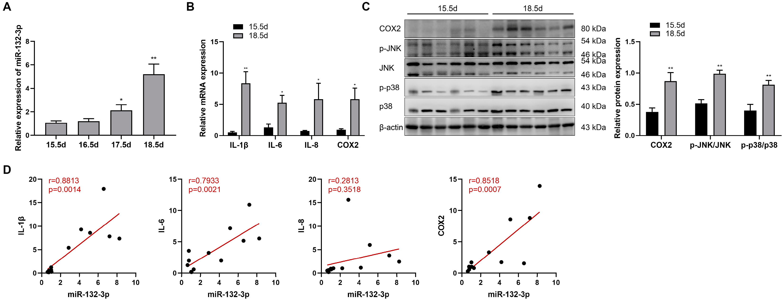 Ijms 23 01864 g001 Ijms 23 01864 g001