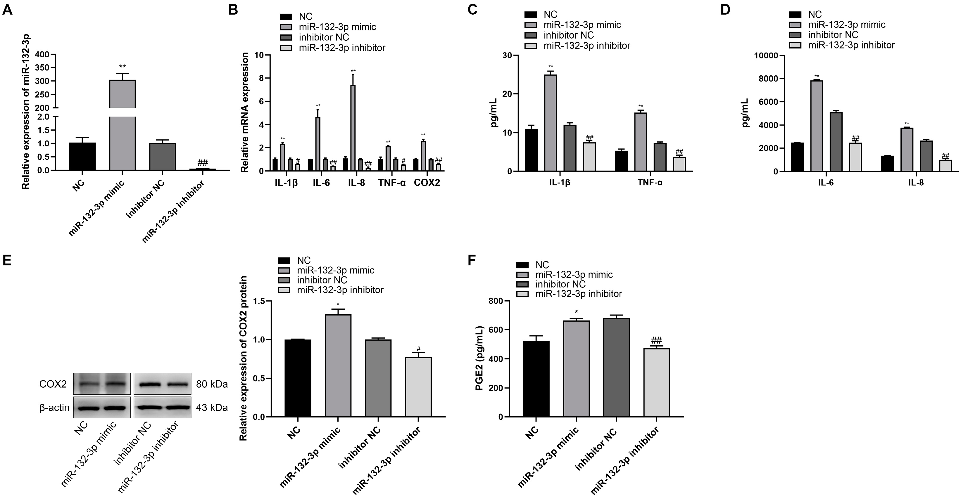 Ijms 23 01864 g002 Ijms 23 01864 g002